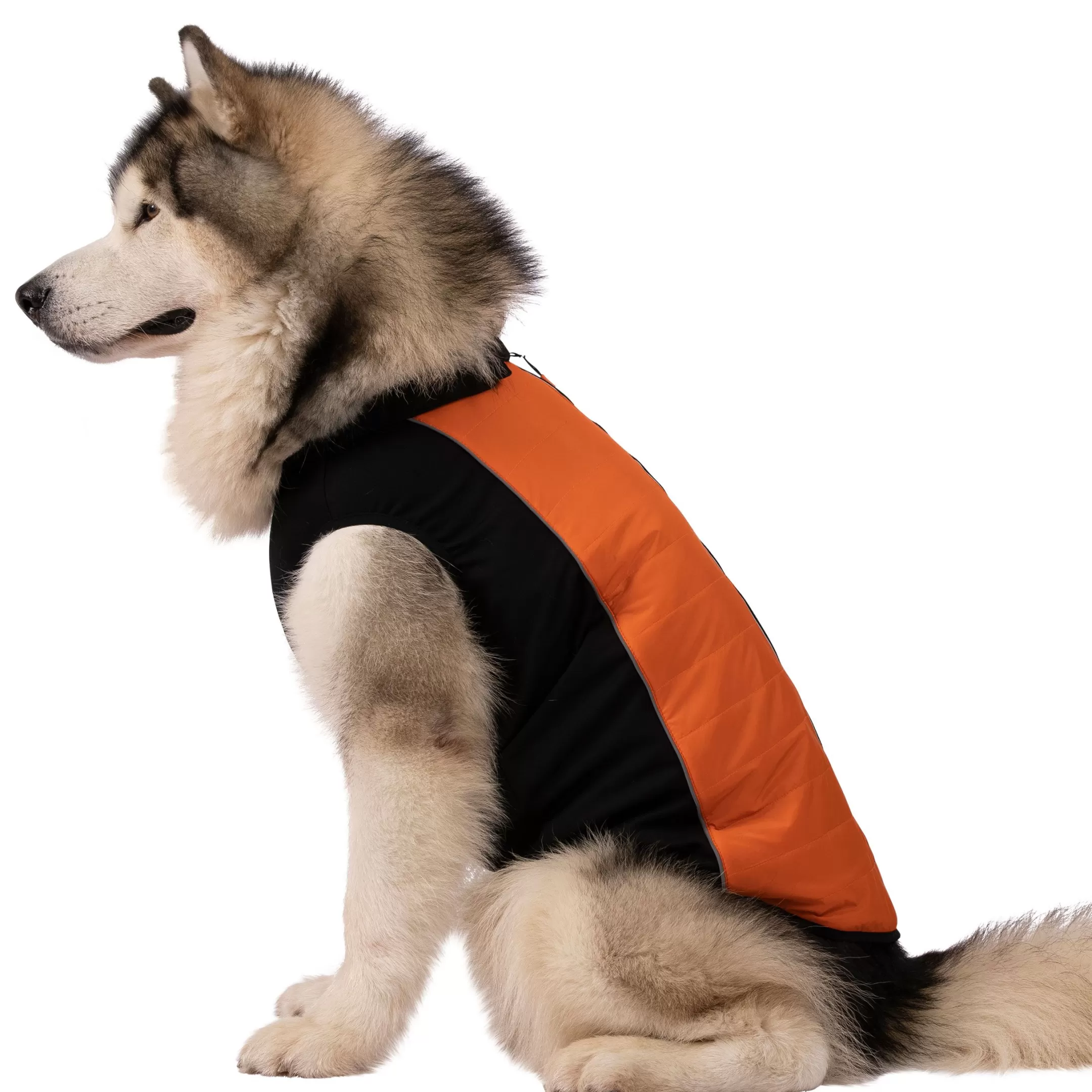 Trepaws Extra Large Dog Jacket Beedle - Black & Burnt Orange | Trespass Store