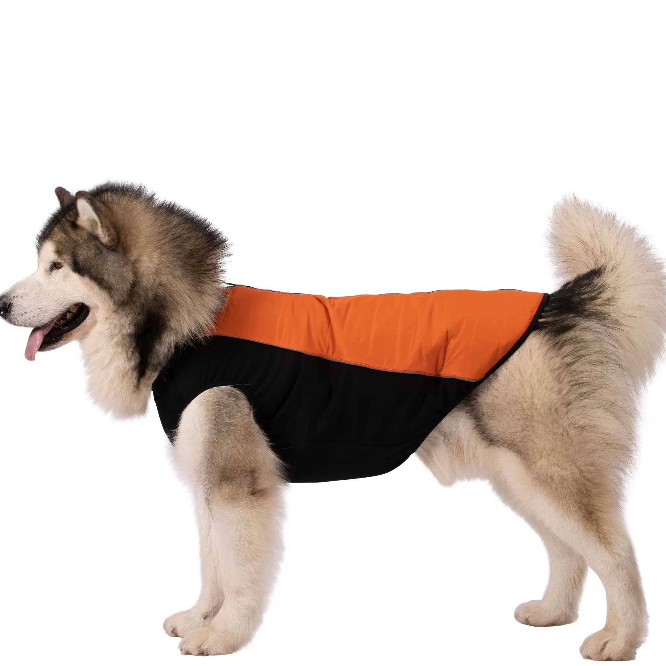 Trepaws Extra Large Dog Jacket Beedle - Black & Burnt Orange | Trespass Store