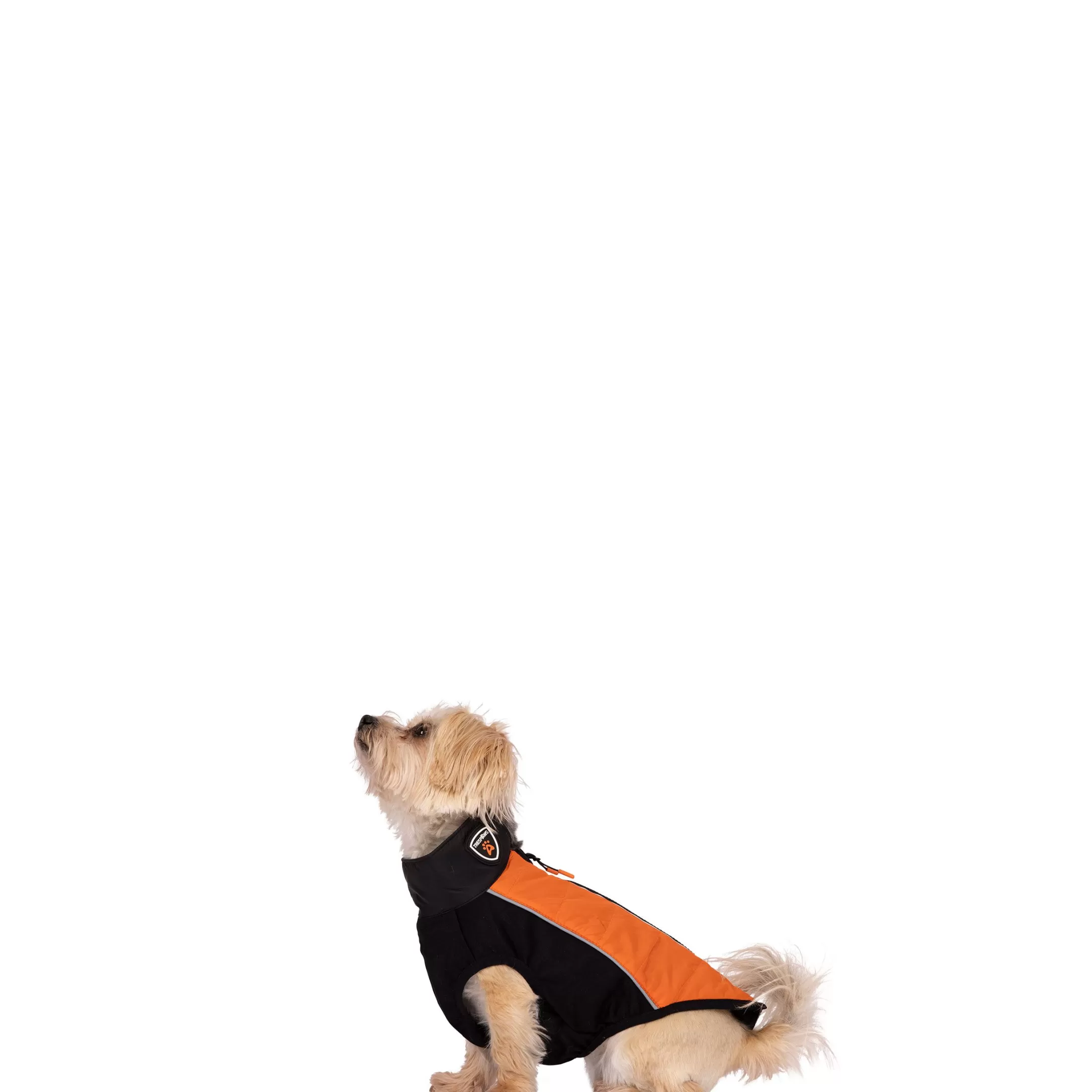 Trepaws XXS Dog Jacket Beedle - Black & Burnt Orange | Trespass Best