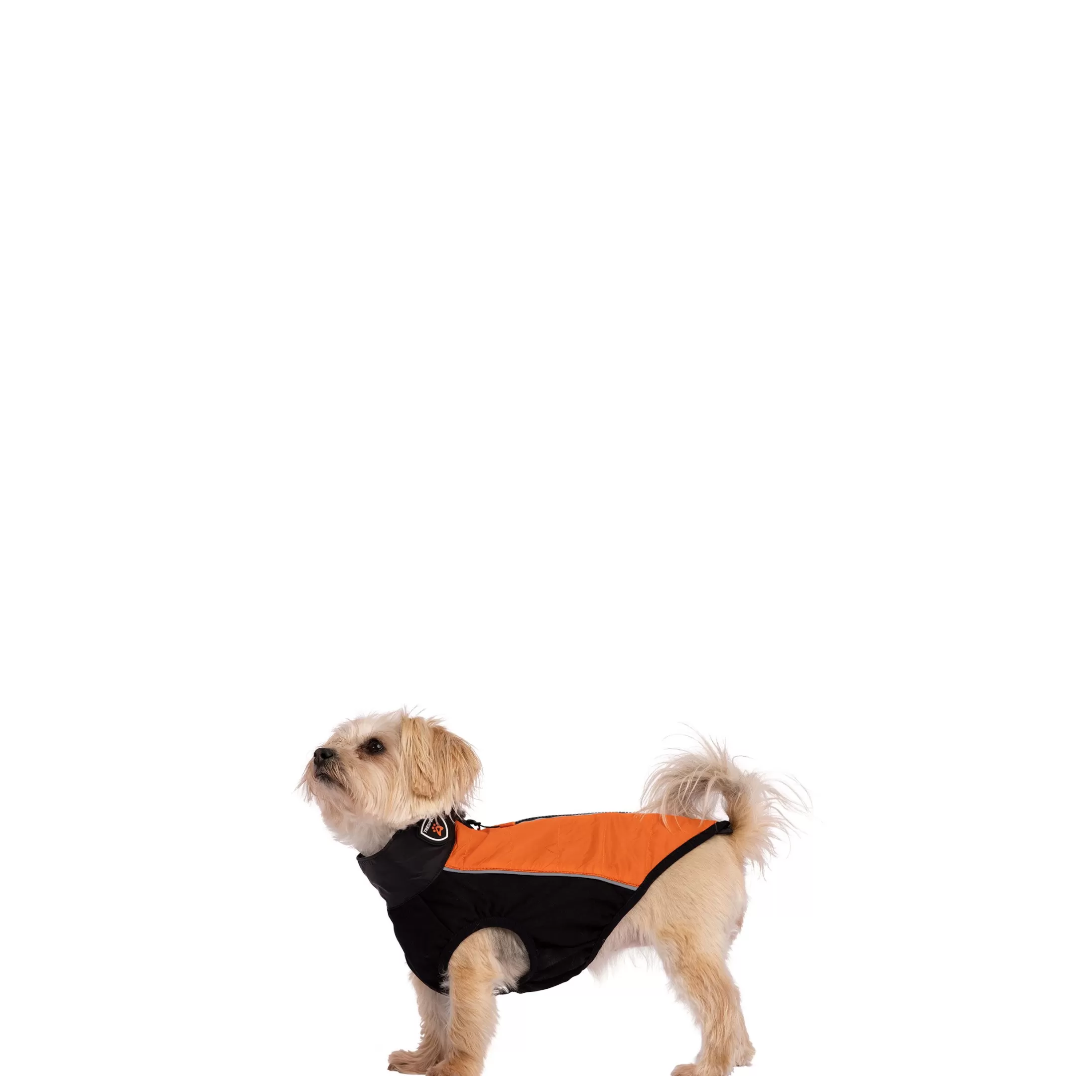 Trepaws XXS Dog Jacket Beedle - Black & Burnt Orange | Trespass Best