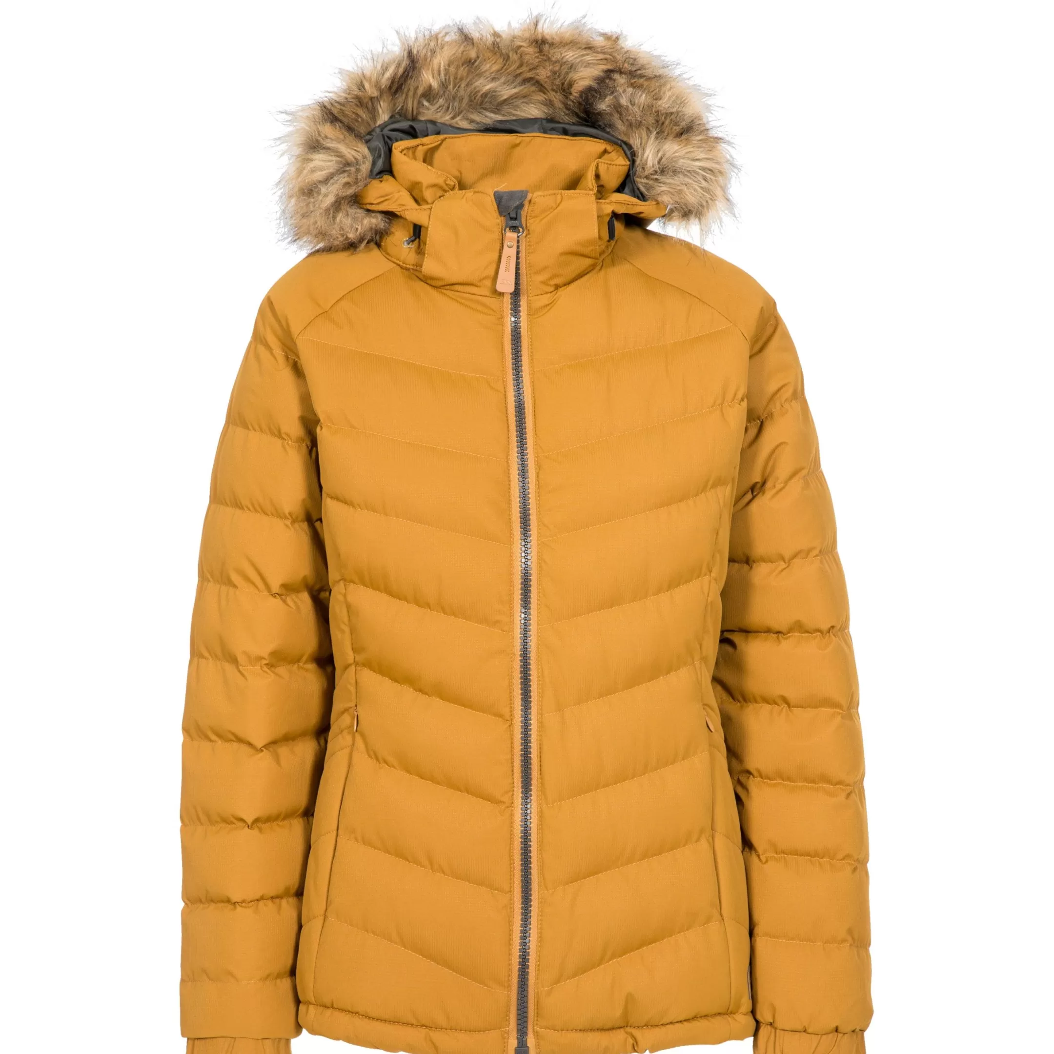 Womens Padded Hooded Casual Jacket Nadina | Trespass Outlet