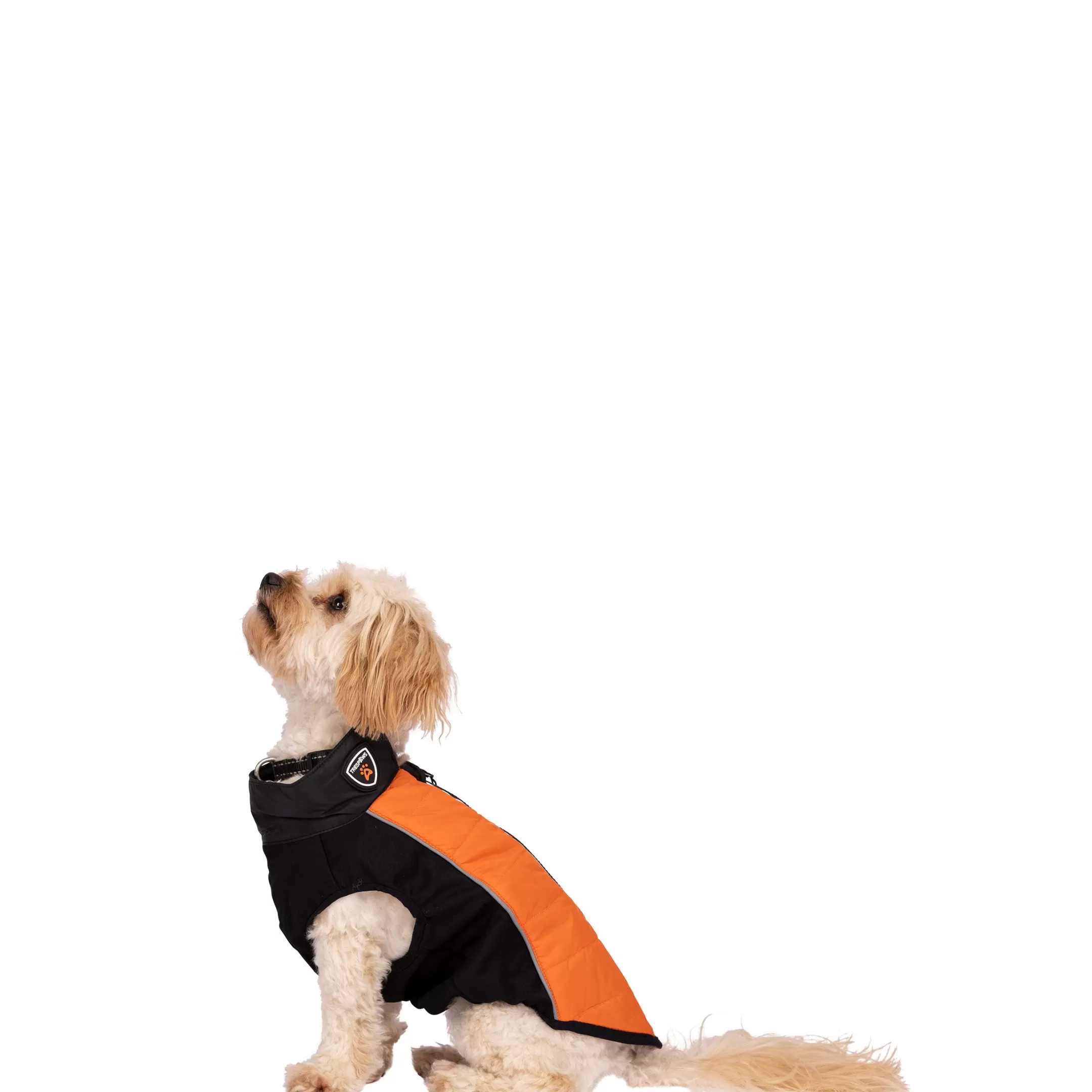 Trespaws Extra Small Dog Jacket Beedle - Black & Burnt Orange | Trespass Shop