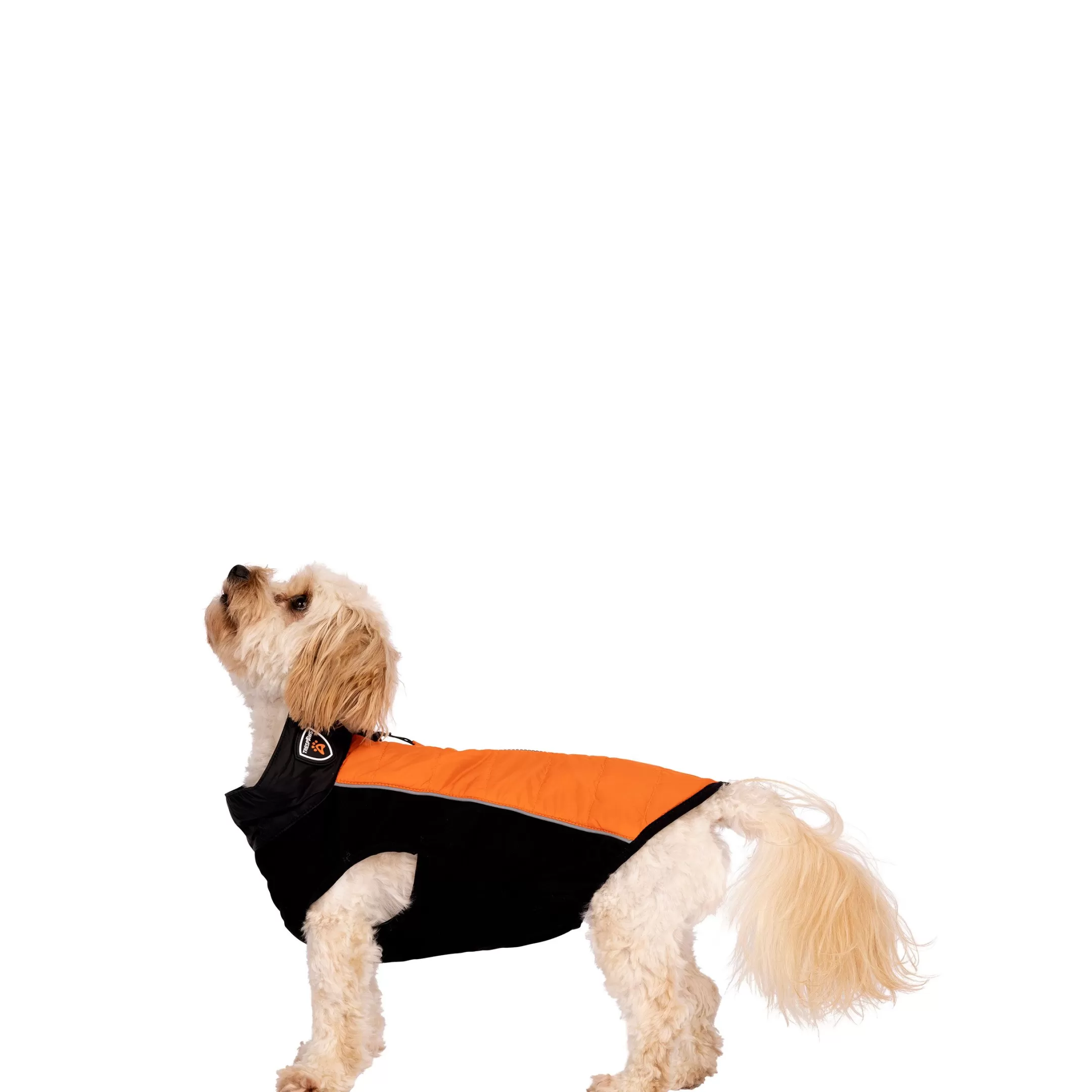 Trespaws Extra Small Dog Jacket Beedle - Black & Burnt Orange | Trespass Shop