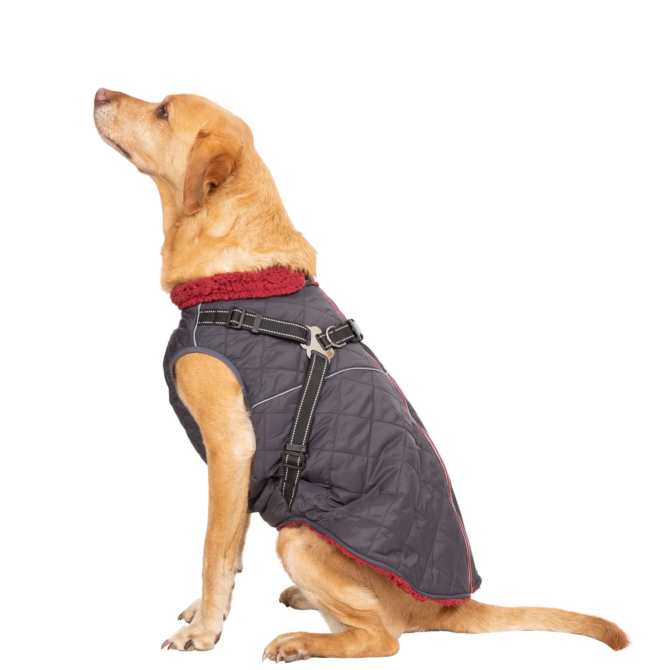 Trespaws Large 2 in 1 Windproof Dog Coat Hercules | Trespass Cheap