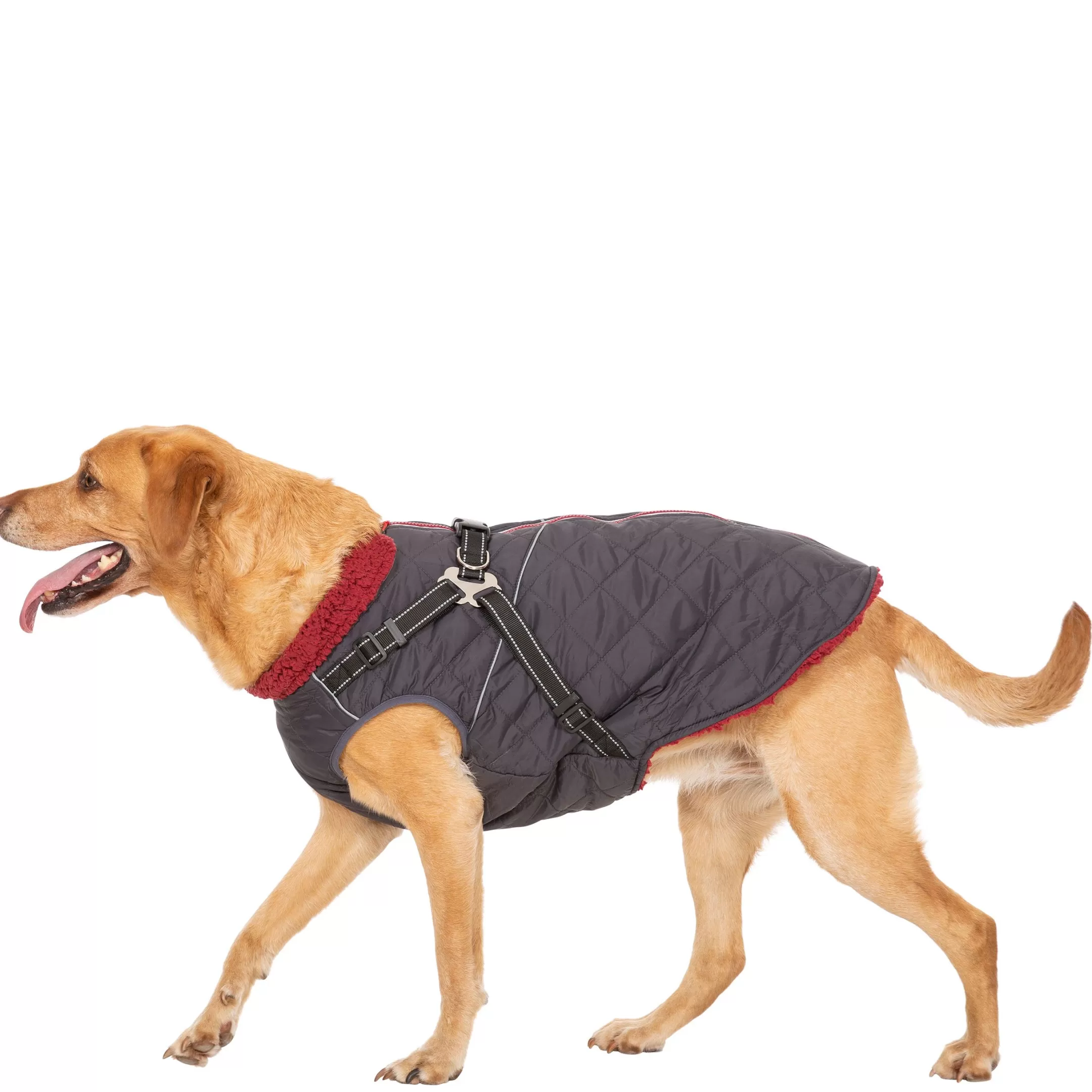 Trespaws Large 2 in 1 Windproof Dog Coat Hercules | Trespass Cheap