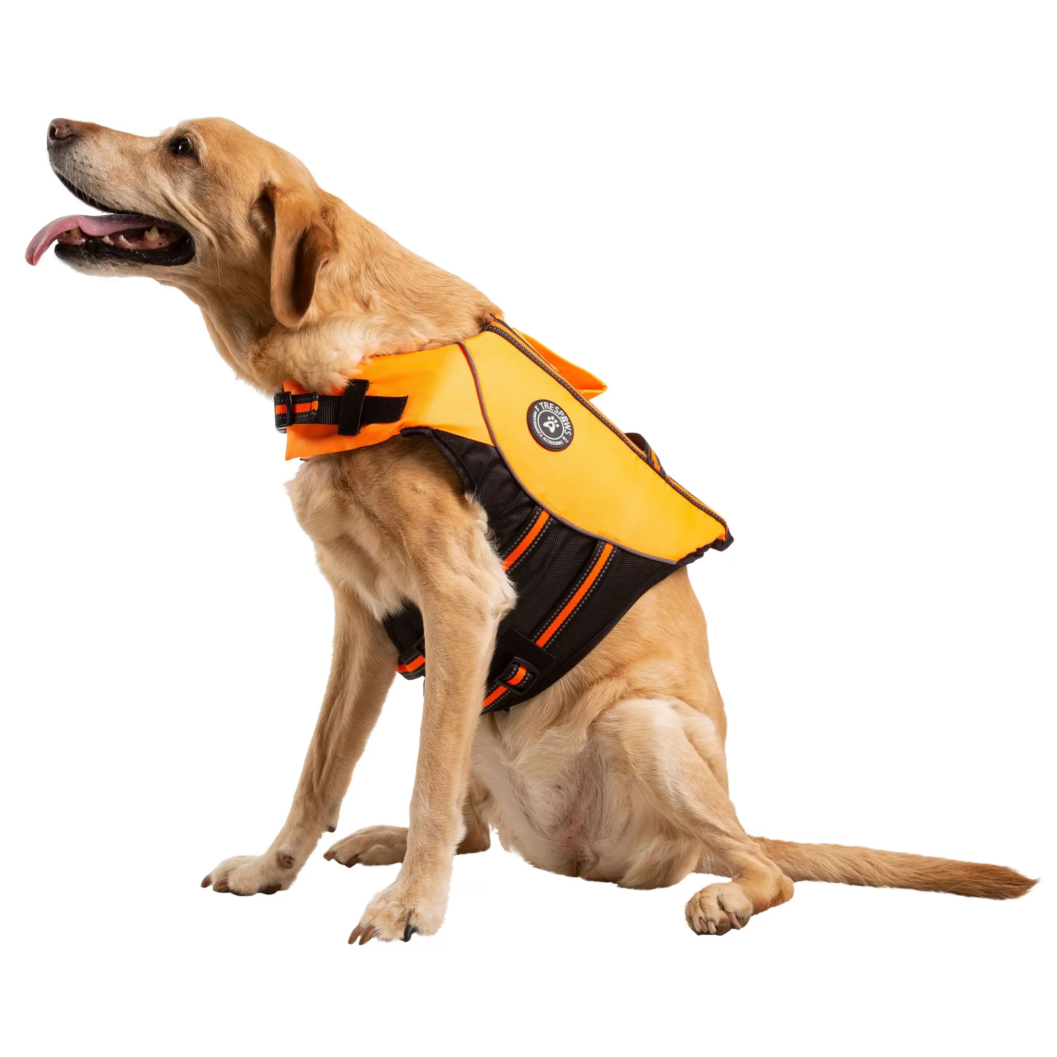 Trespaws Large Buoyancy Aid in HighVis Surfdog | Trespass Shop