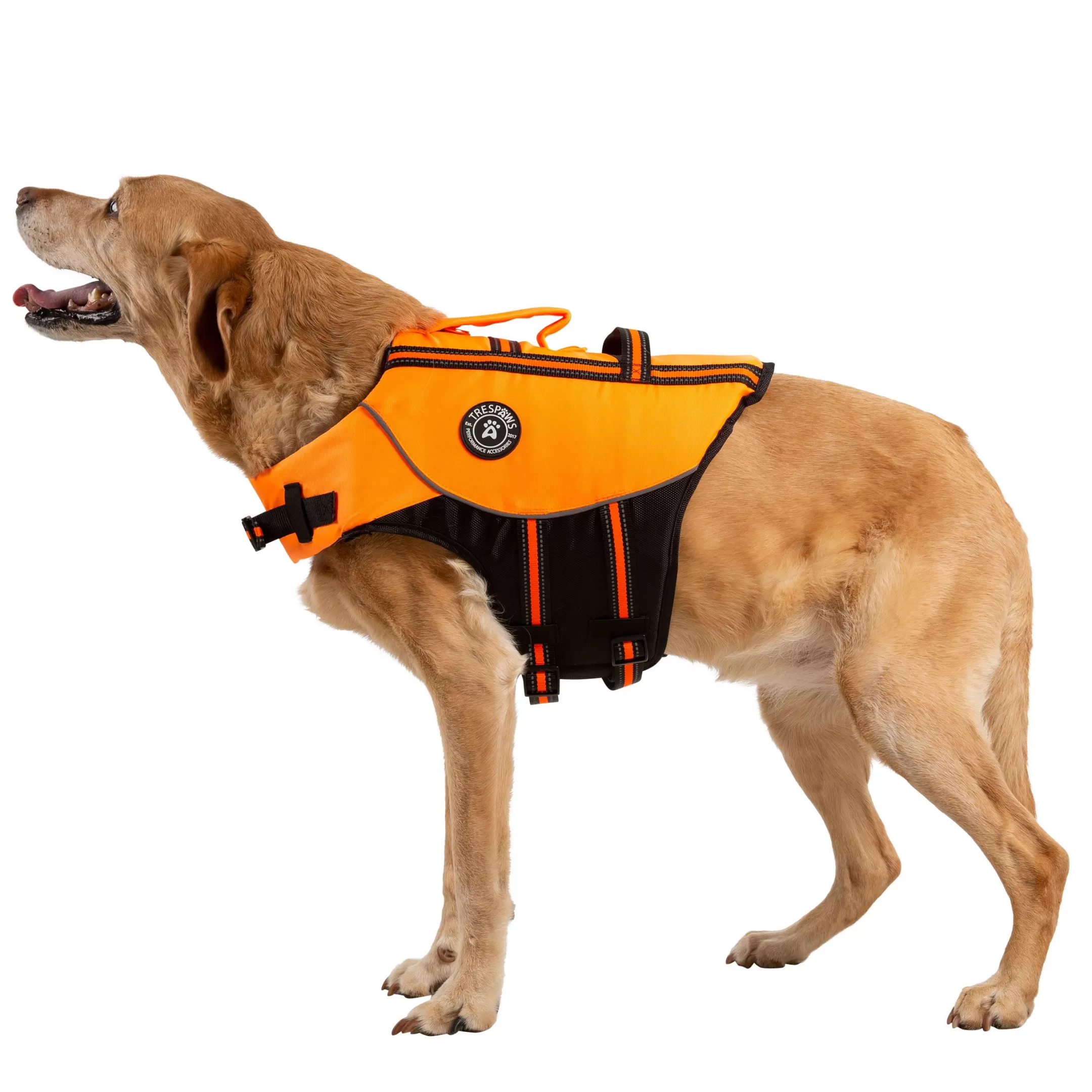 Trespaws Large Buoyancy Aid in HighVis Surfdog | Trespass Shop