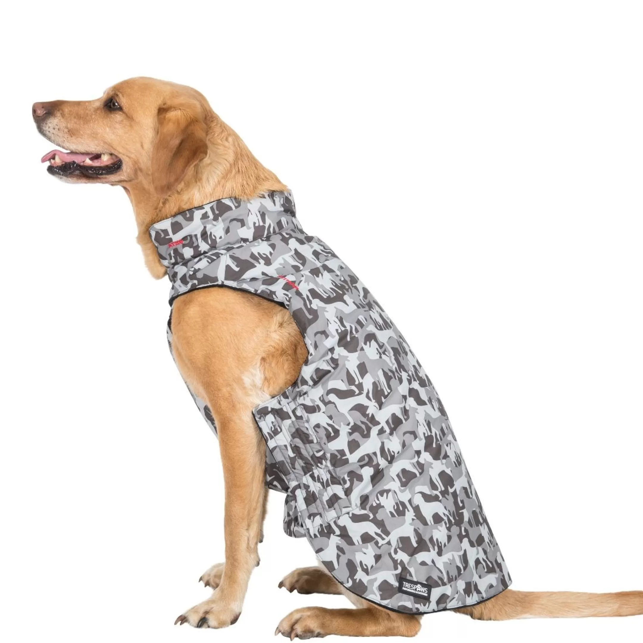 Trespaws Large Camo Dog Printed Raincoat in Grey Charly | Trespass Flash Sale
