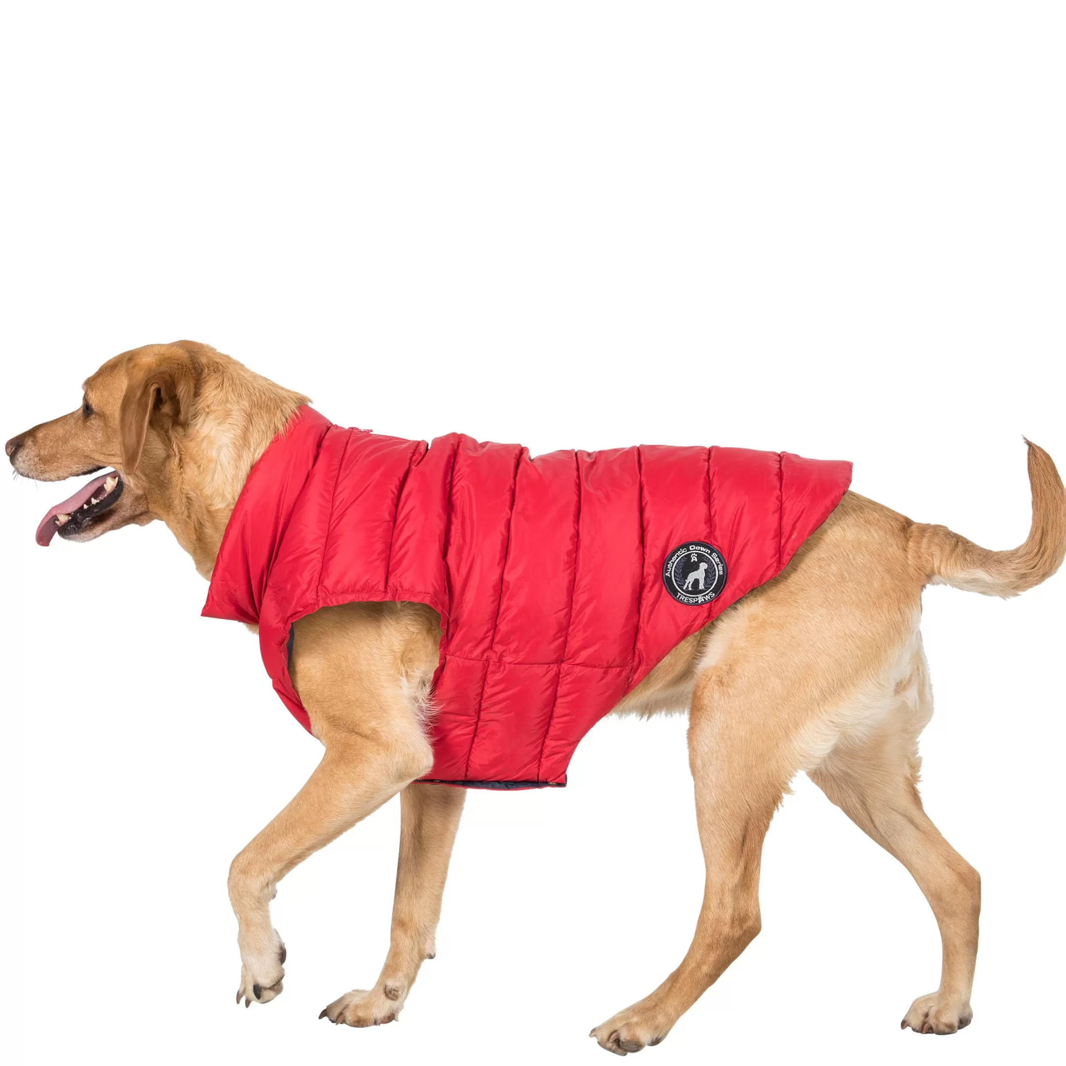 Trespaws Large Down Dog Jacket in Red Dogby | Trespass Flash Sale