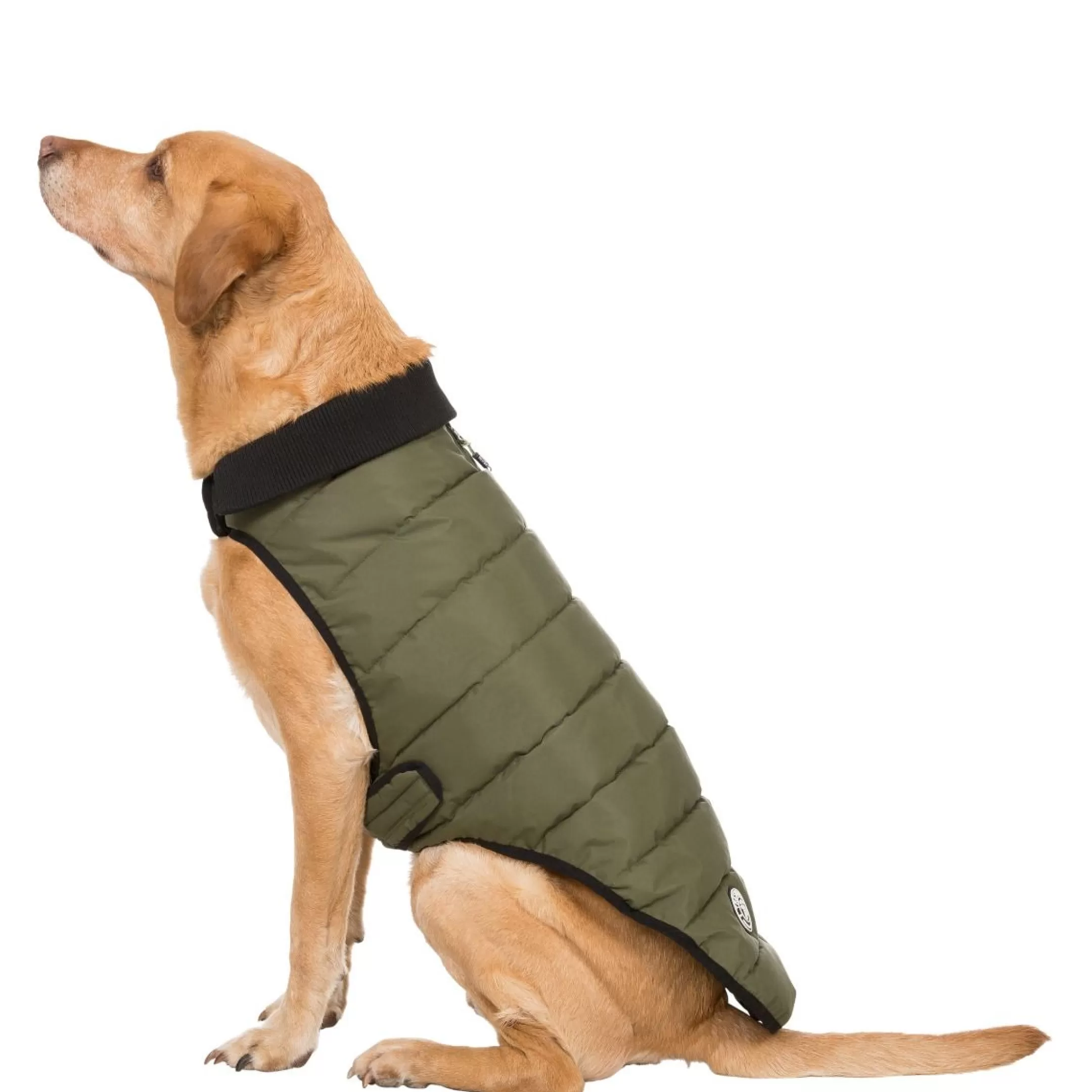 Trespaws Large Eco Friendly Dog Puffer Jacket in Khaki Lloyd | Trespass Outlet