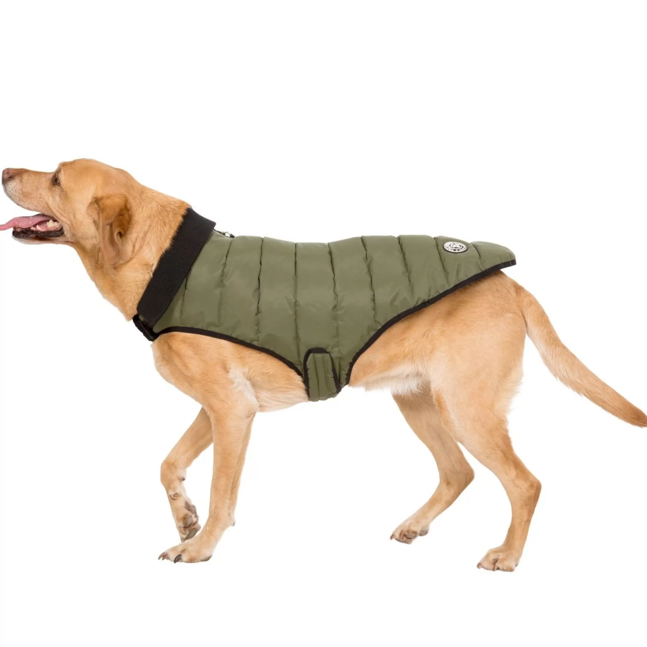 Trespaws Large Eco Friendly Dog Puffer Jacket in Khaki Lloyd | Trespass Outlet