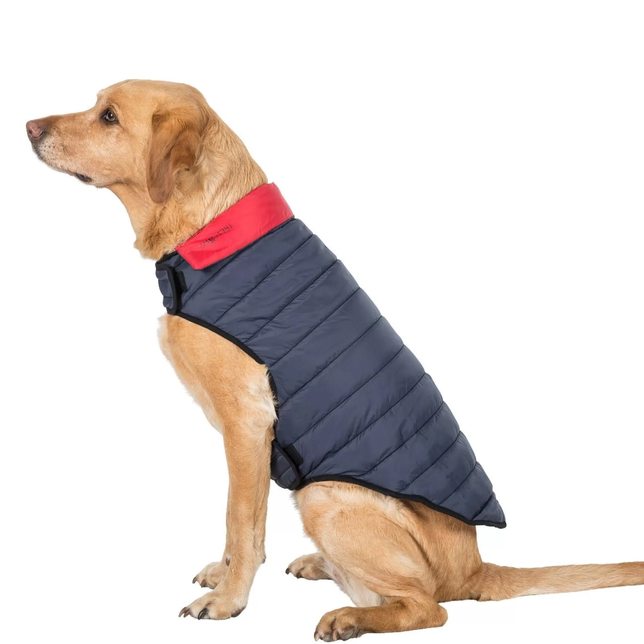 Trespaws Large Quilted Reversible Packaway Dog Jacket in Flint Kimmi | Trespass Fashion