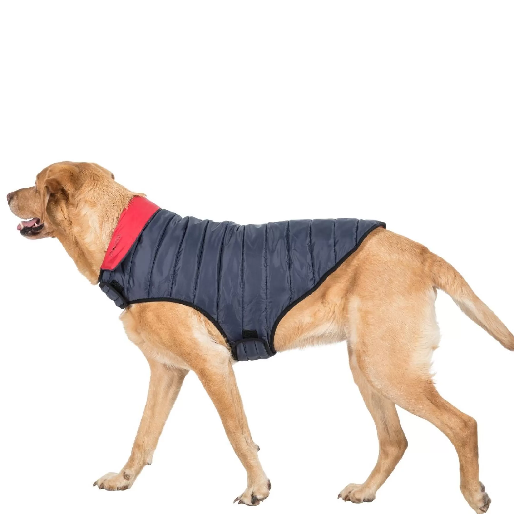Trespaws Large Quilted Reversible Packaway Dog Jacket in Flint Kimmi | Trespass Fashion