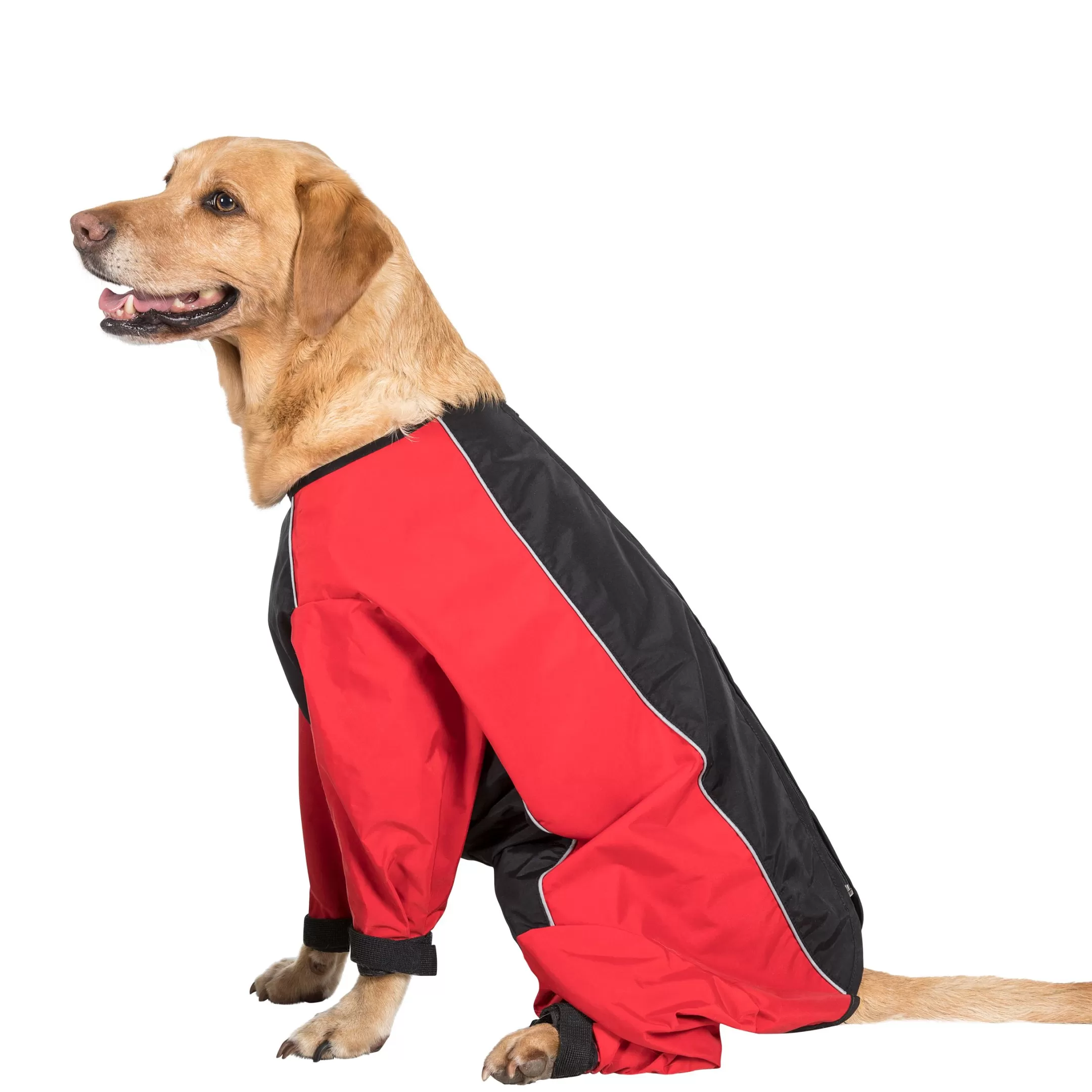Trespaws Large Windproof Dog Coat with Leg Covers in Red Tia | Trespass Discount