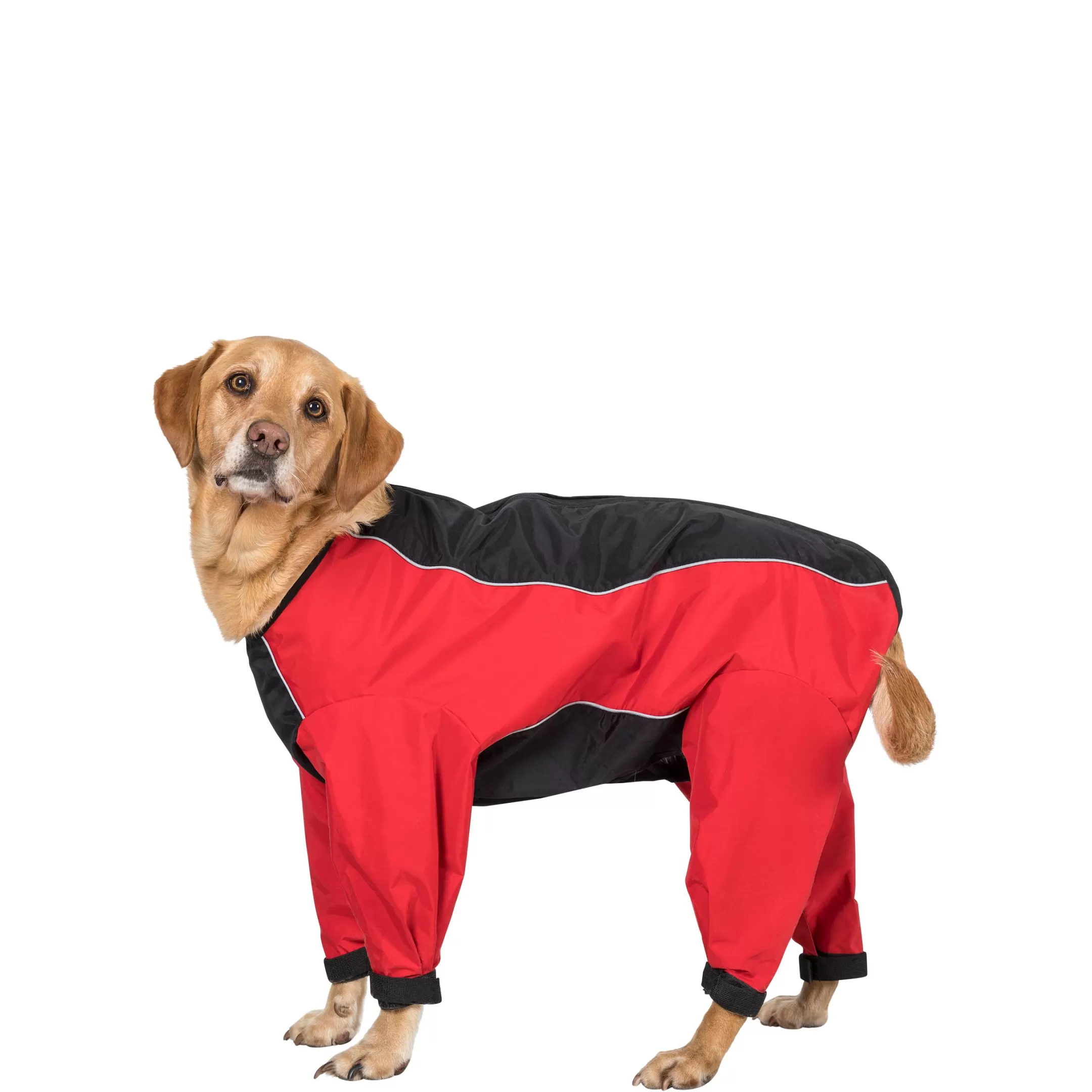 Trespaws Large Windproof Dog Coat with Leg Covers in Red Tia | Trespass Discount