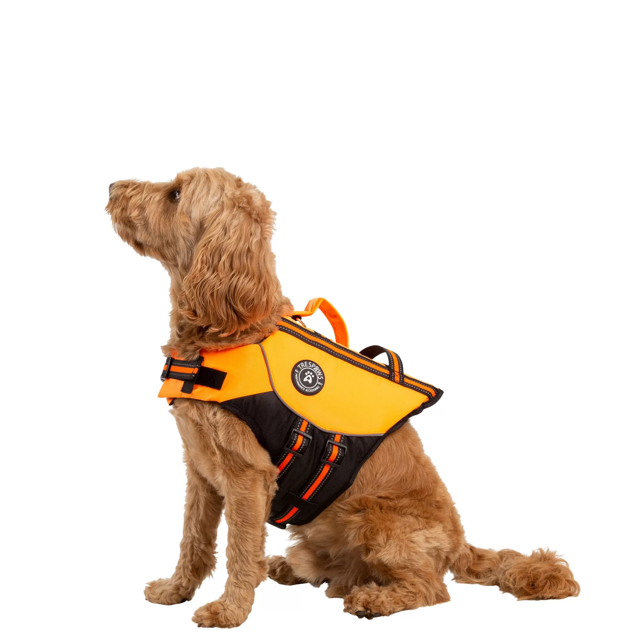 Trespaws Medium Buoyancy Aid in HighVis Surfdog | Trespass Shop