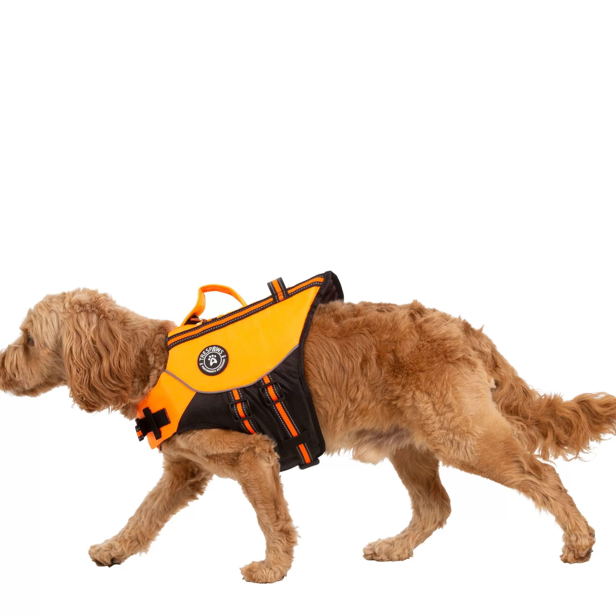 Trespaws Medium Buoyancy Aid in HighVis Surfdog | Trespass Shop