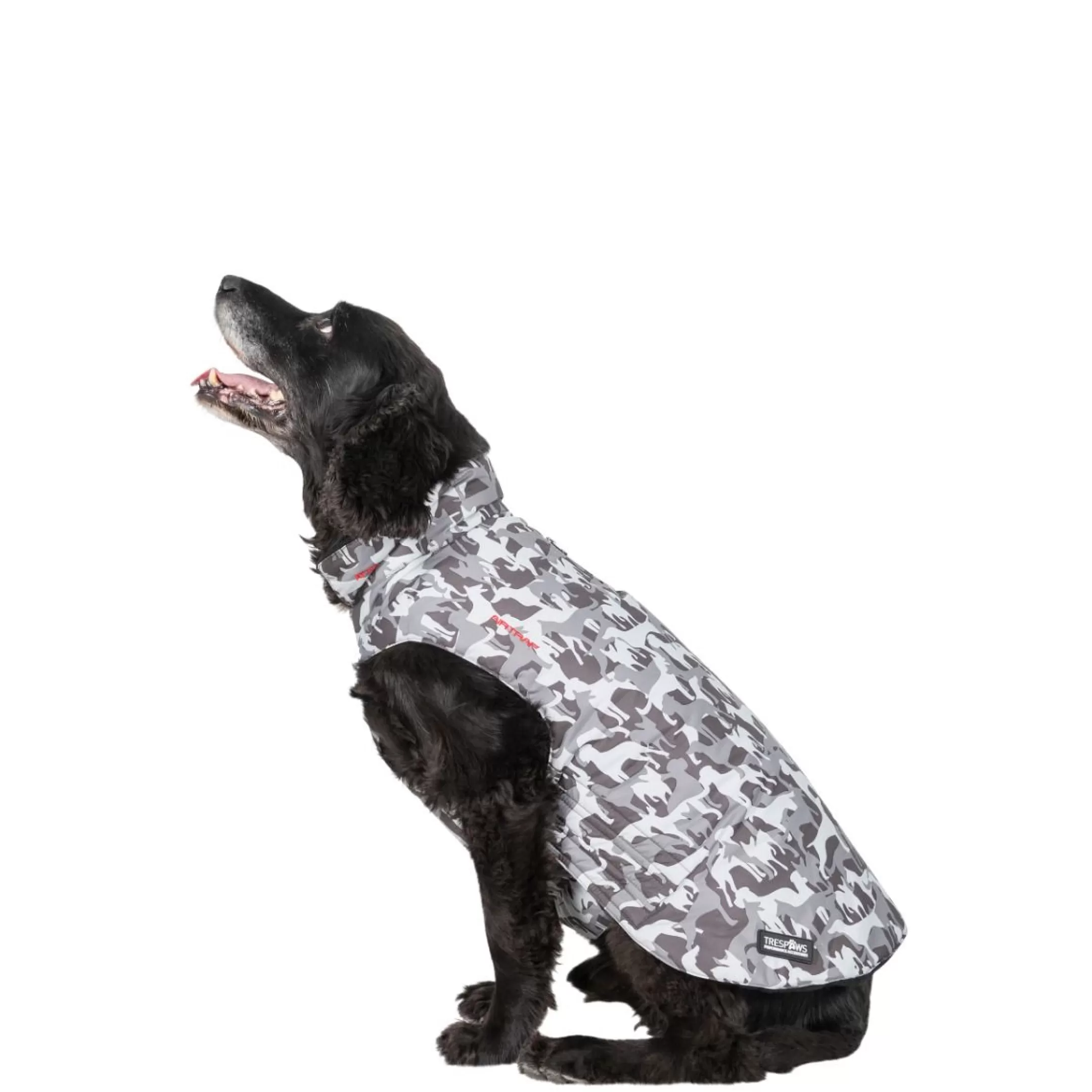 Trespaws Medium Camo Dog Printed Raincoat in Grey Charly | Trespass Flash Sale