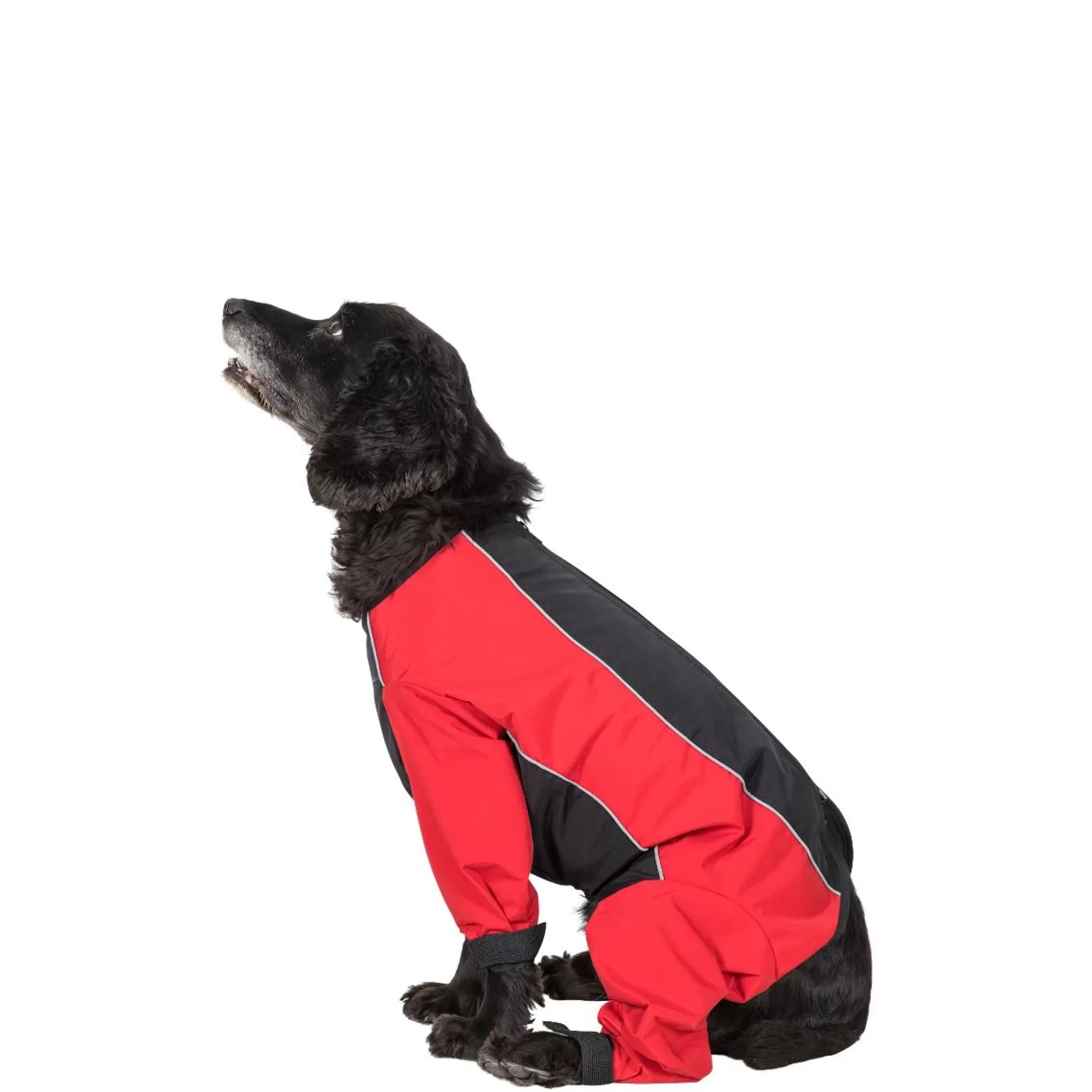 Trespaws Medium Waterproof Dog Coat With Legs Tia in Black/Red | Trespass Discount