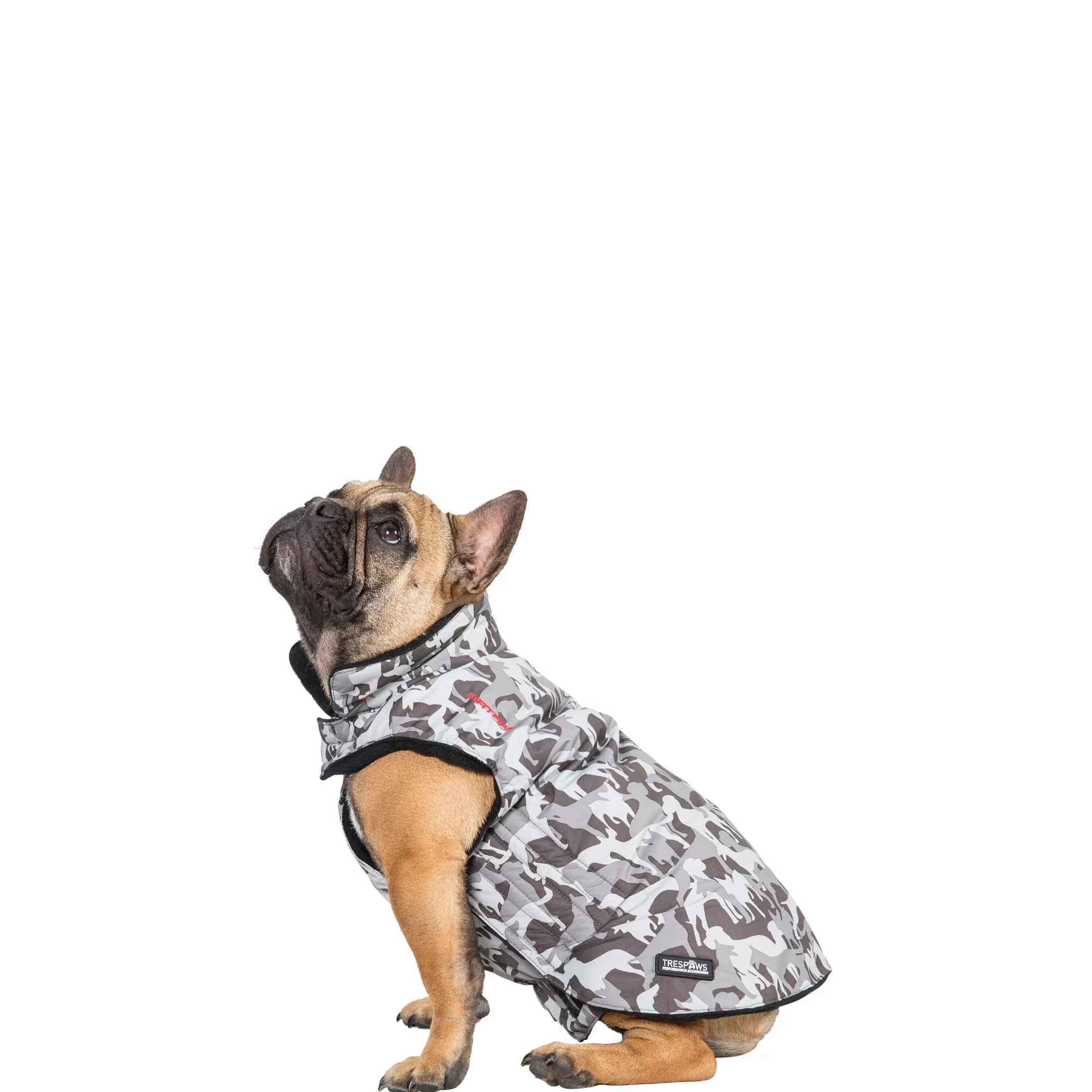 Trespaws Small Camo Dog Printed Raincoat in Grey Charly | Trespass Best Sale