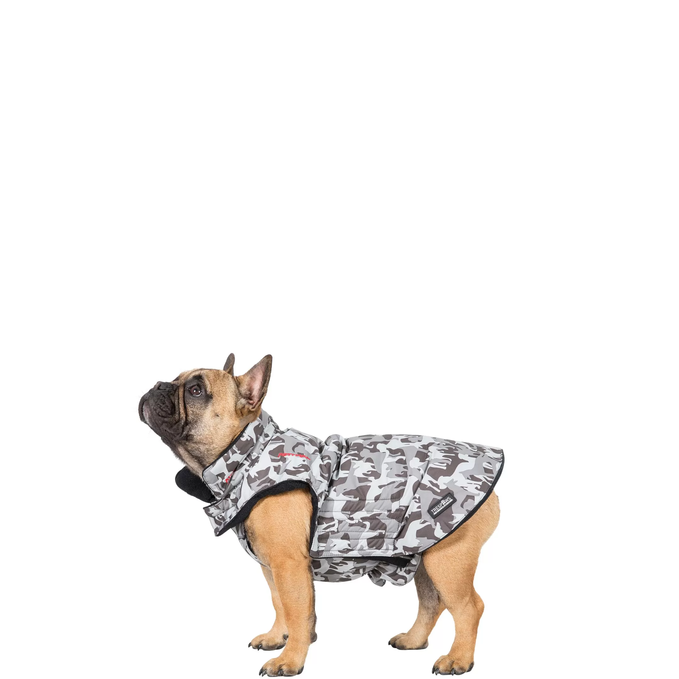 Trespaws Small Camo Dog Printed Raincoat in Grey Charly | Trespass Best Sale