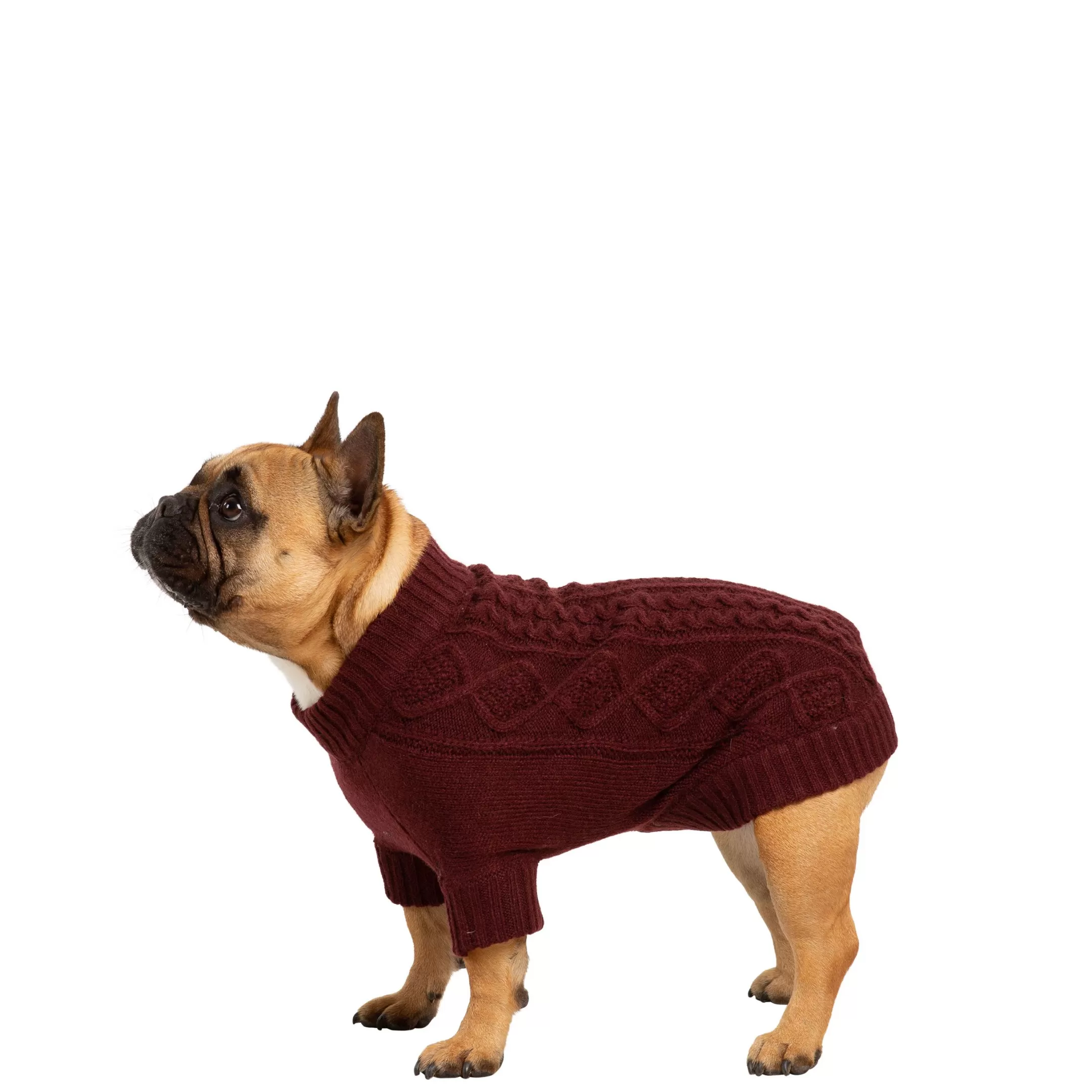 Trespaws Small Dog Jumper in Merlot Snowhound | Trespass Fashion