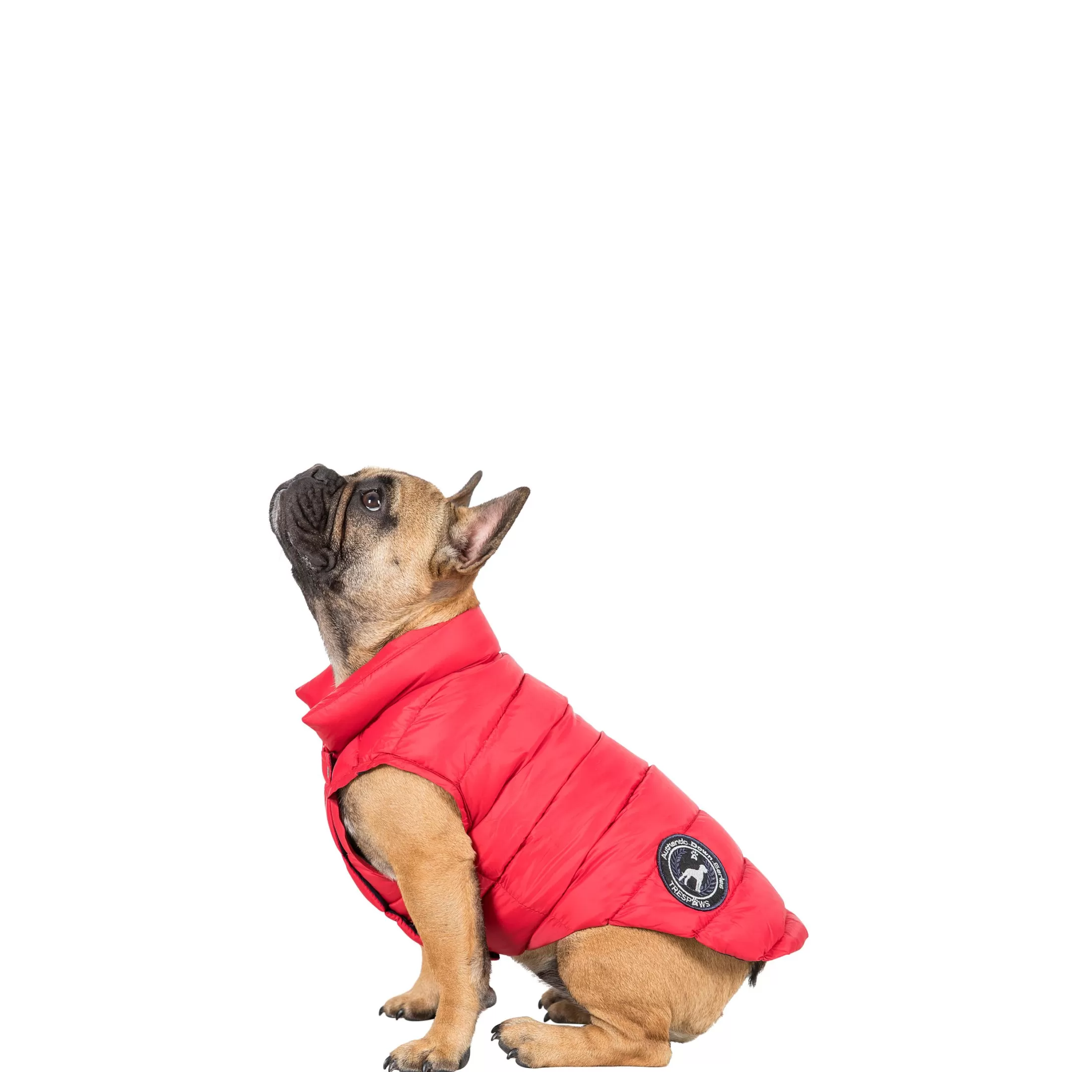 Trespaws Small Down Dog Jacket in Red Dogby | Trespass Best