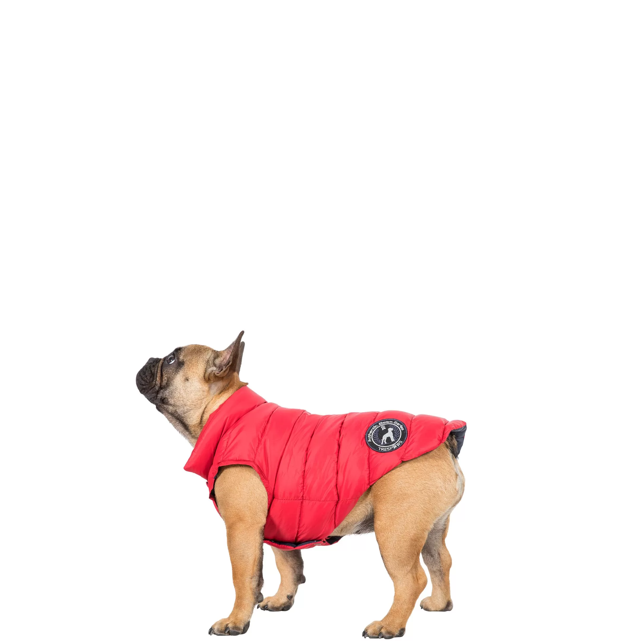 Trespaws Small Down Dog Jacket in Red Dogby | Trespass Best