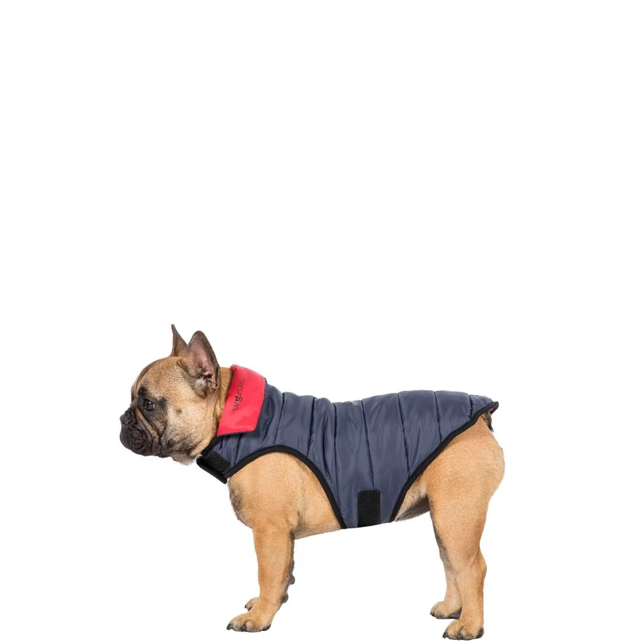Trespaws Small Quilted Reversible Packaway Dog Jacket in Flint Kimmi | Trespass Fashion