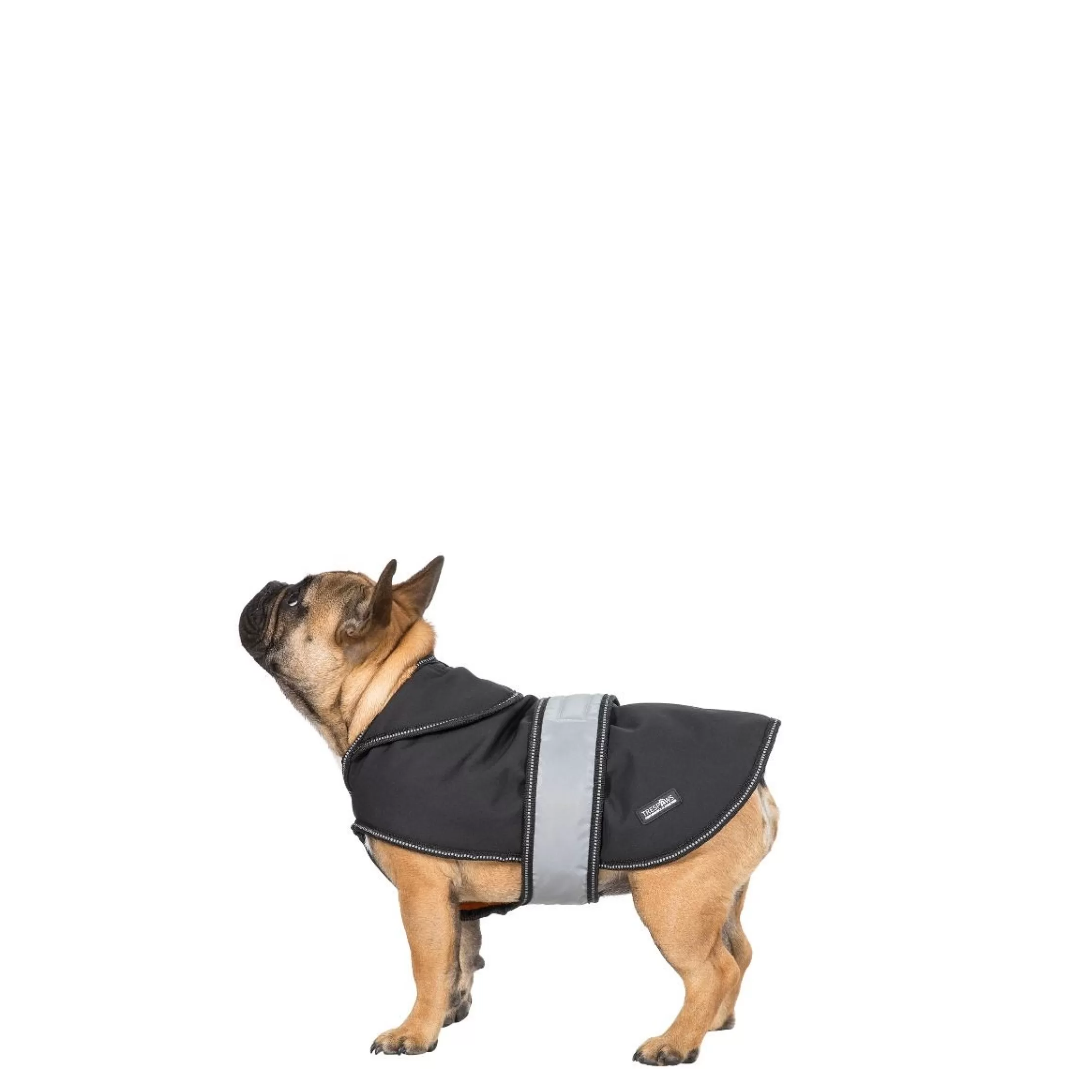 Trespaws Small Softshell dog coat Butch X Black X | Trespass Online