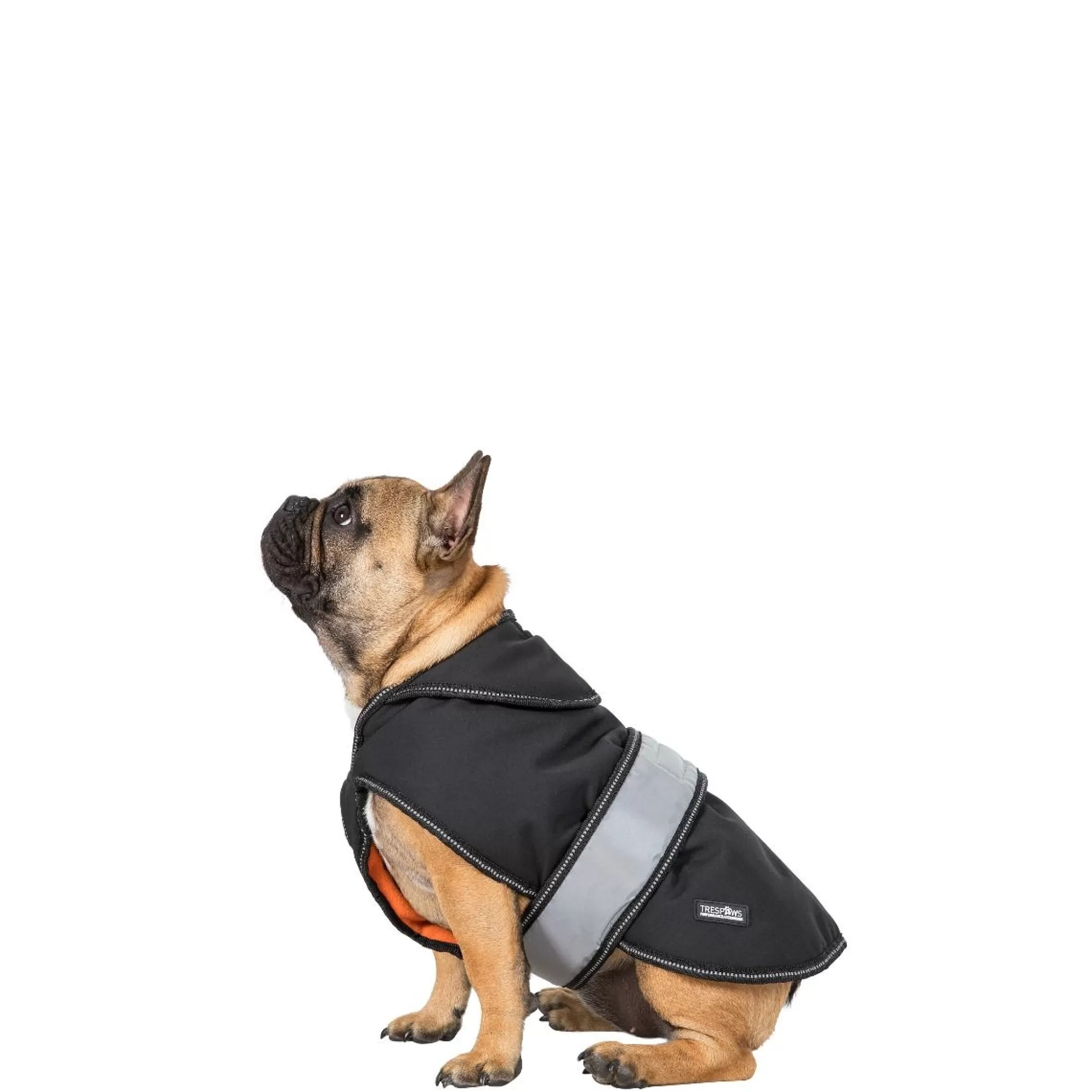 Trespaws Small Softshell dog coat Butch X Black X | Trespass Online