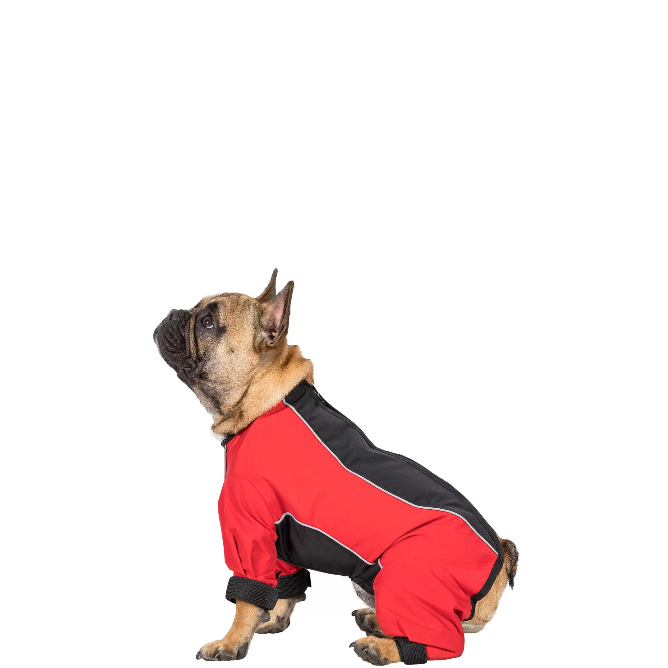 Trespaws Small Windproof Dog Coat with Leg Covers in Red Tia | Trespass Fashion