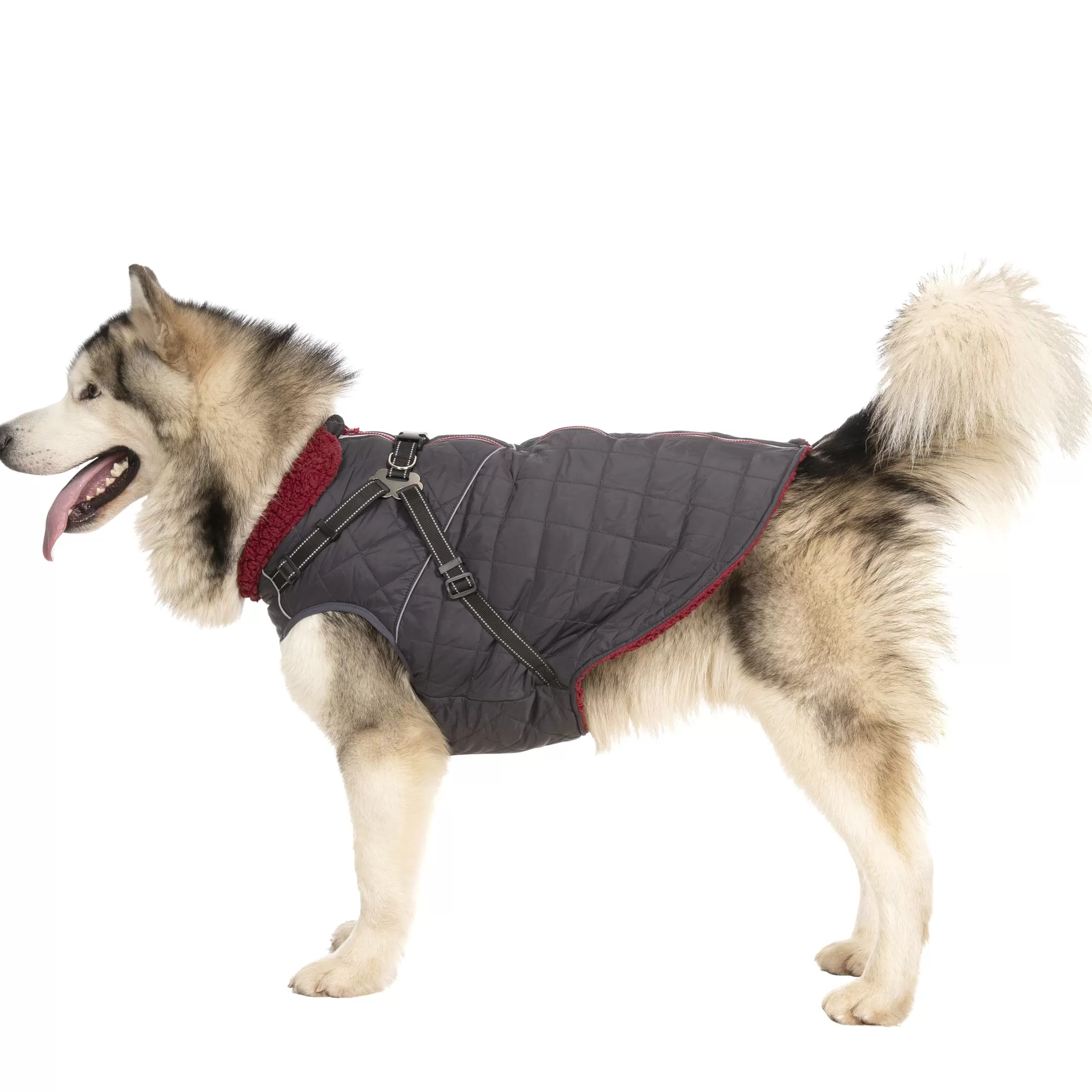Trespaws XL 2 in 1 Windproof Dog Coat Hercules | Trespass Outlet