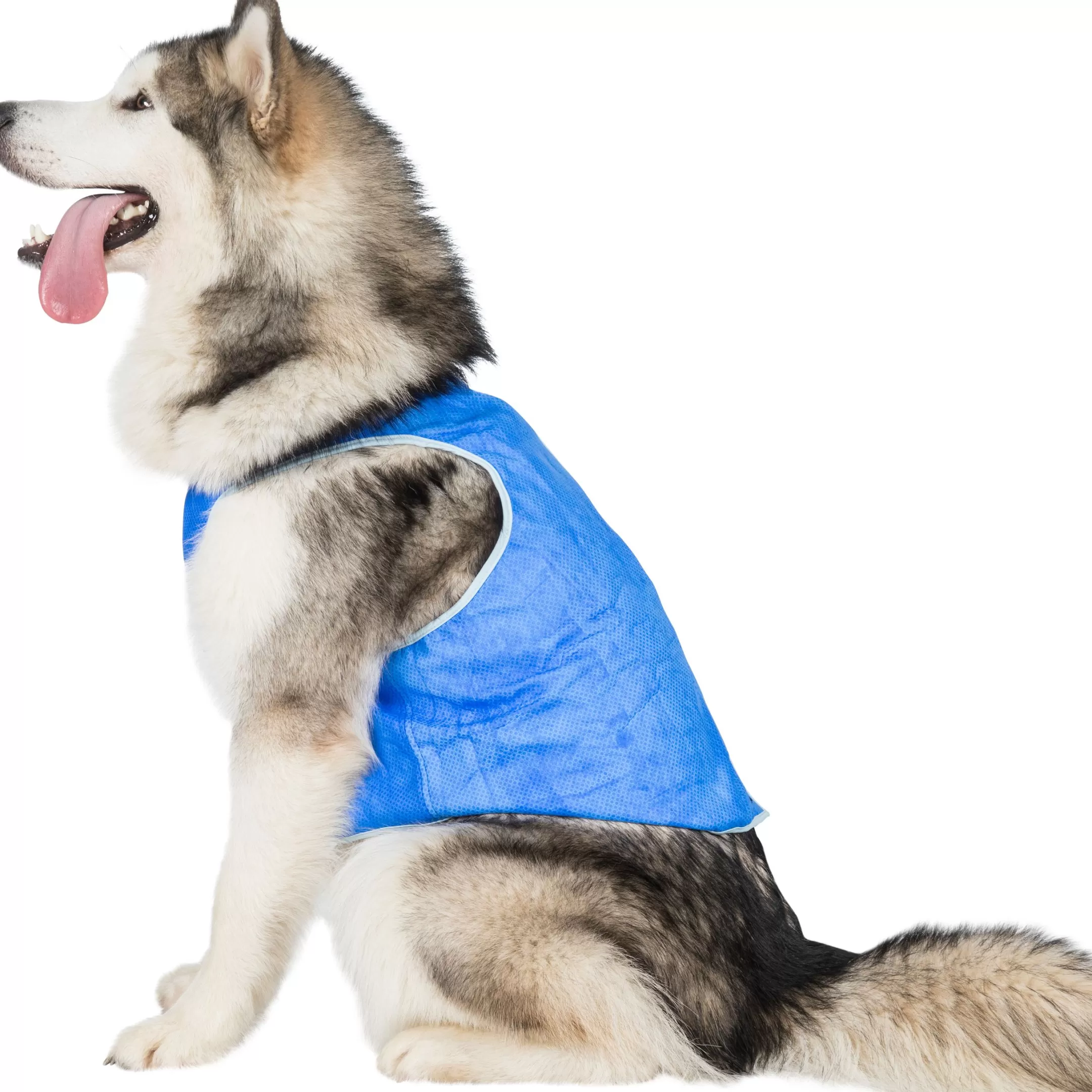 Trespaws XL Dog Cooling Vest in Sapphire Alaska | Trespass Clearance