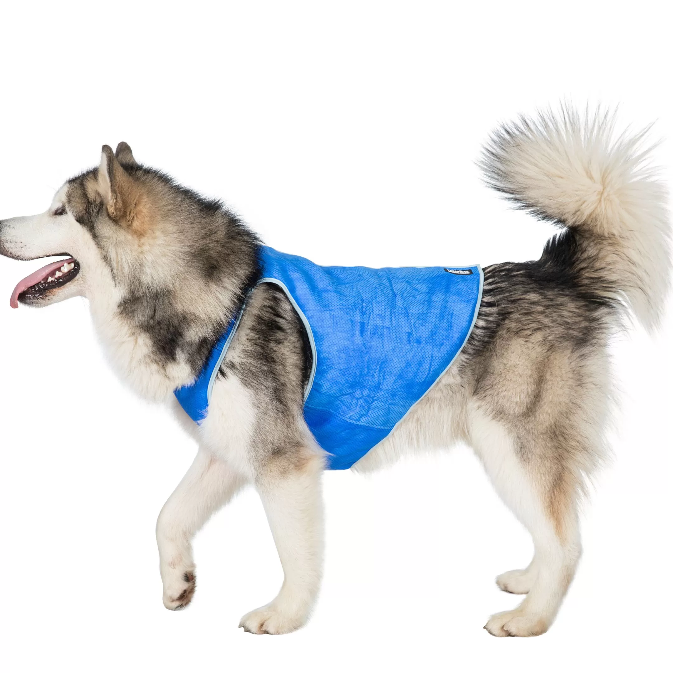 Trespaws XL Dog Cooling Vest in Sapphire Alaska | Trespass Clearance