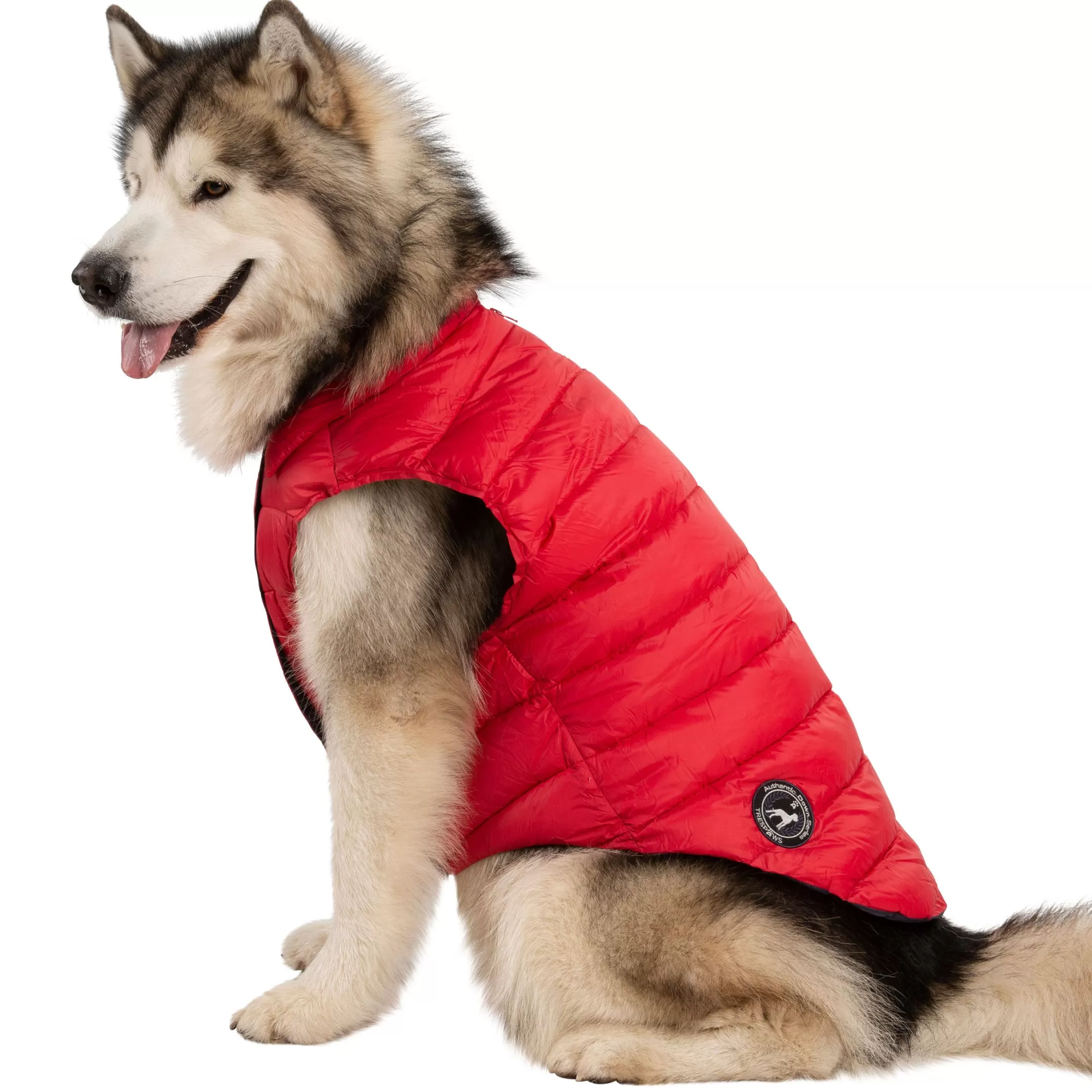 Trespaws XL Down Dog Jacket in Red Dogby | Trespass Best Sale