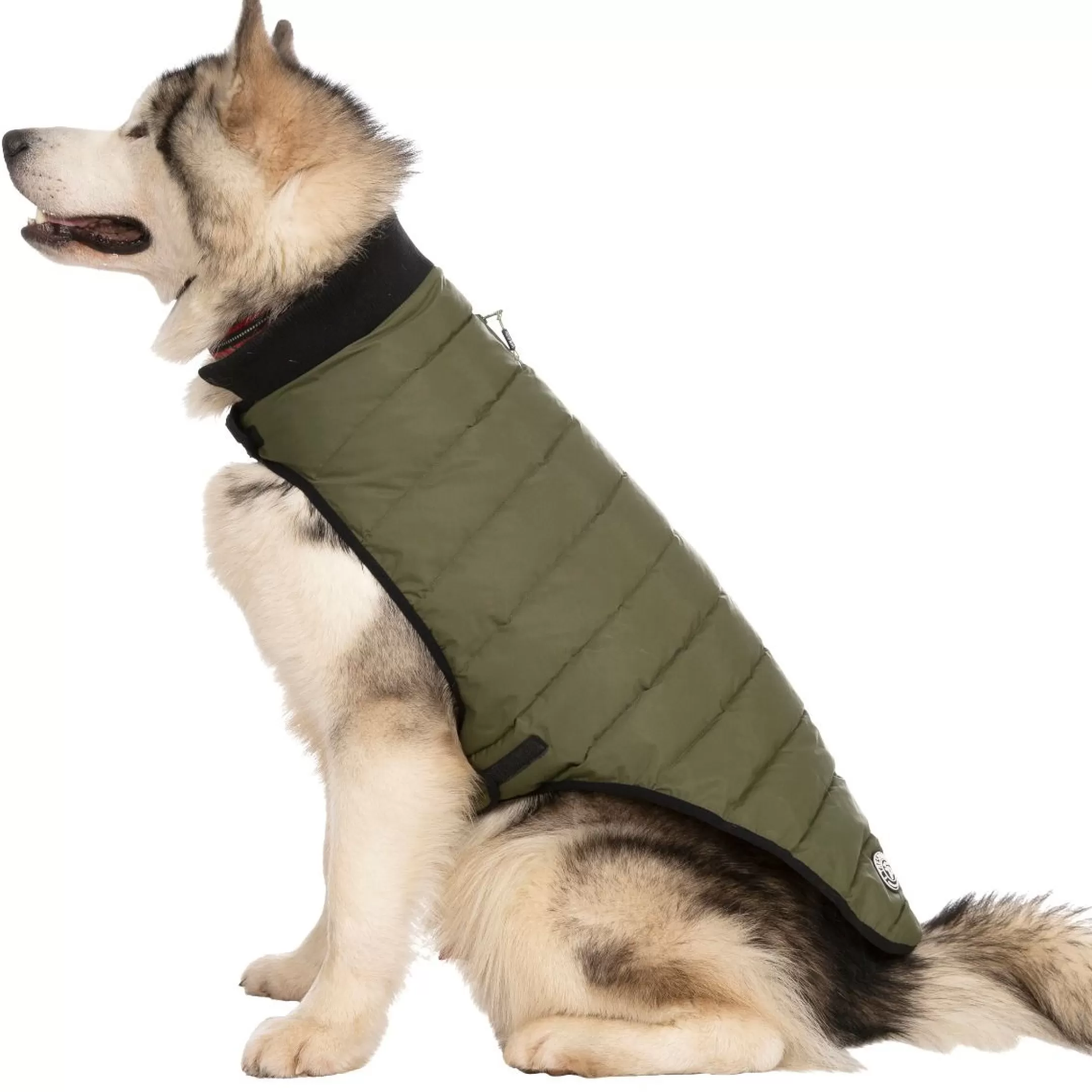 Trespaws XL Eco Friendly Dog Puffer Jacket in Khaki Lloyd | Trespass Best
