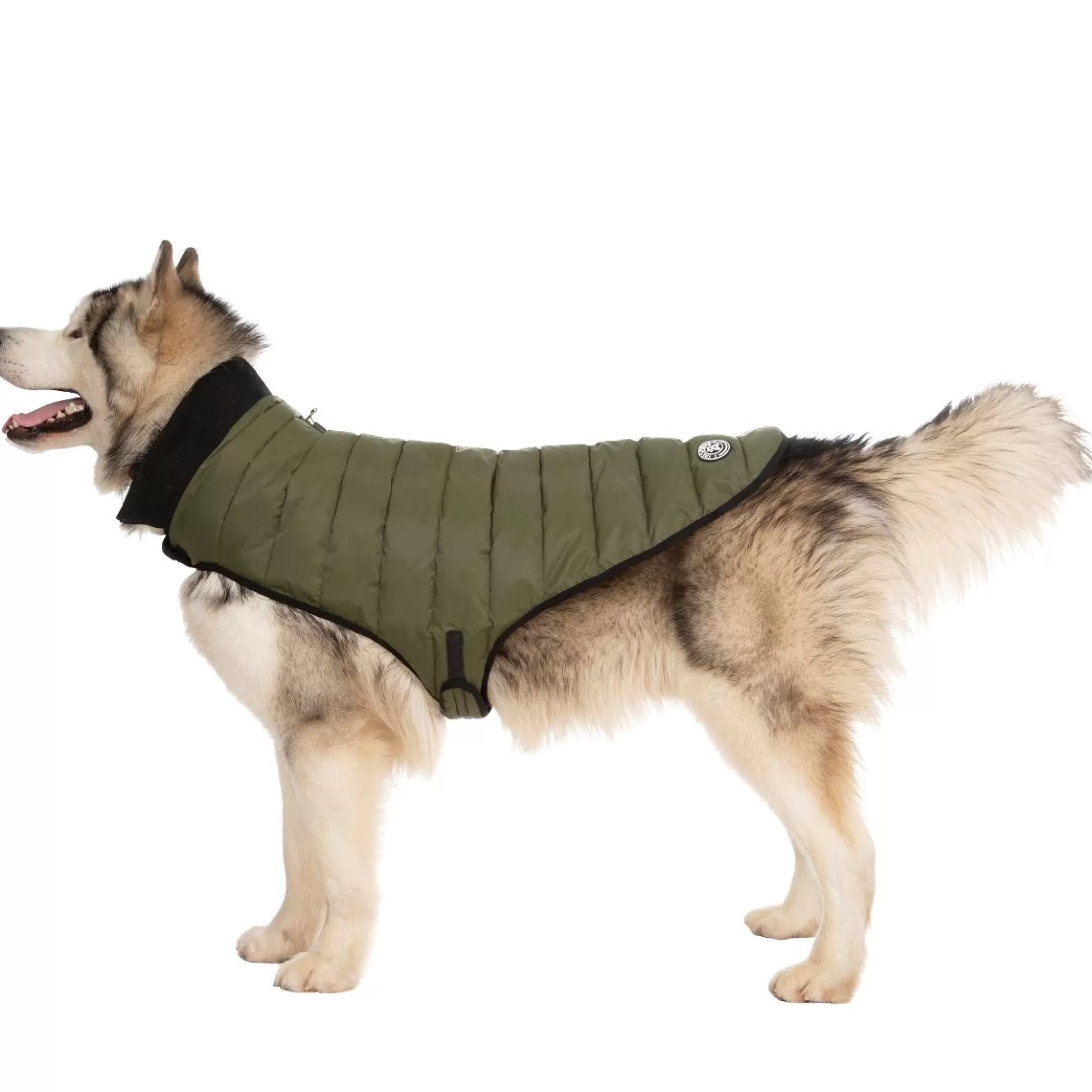 Trespaws XL Eco Friendly Dog Puffer Jacket in Khaki Lloyd | Trespass Best