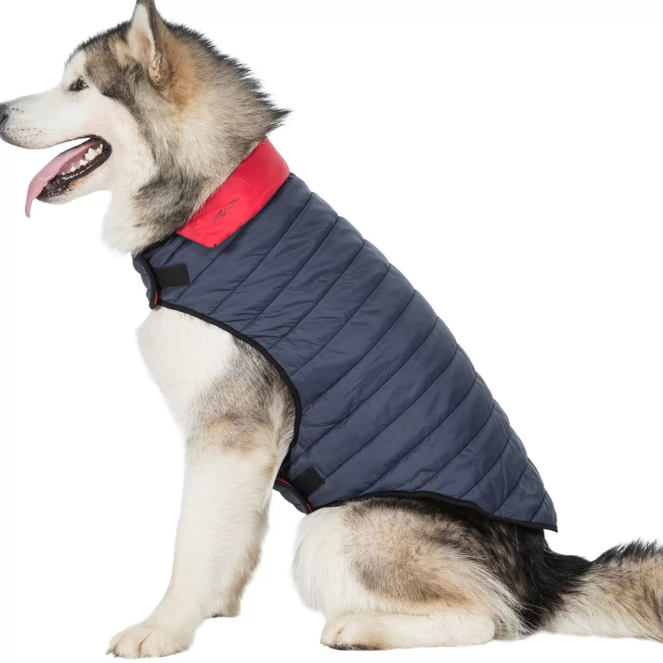 Trespaws XL Quilted Reversible Packaway Dog Jacket in Flint Kimmi | Trespass Sale