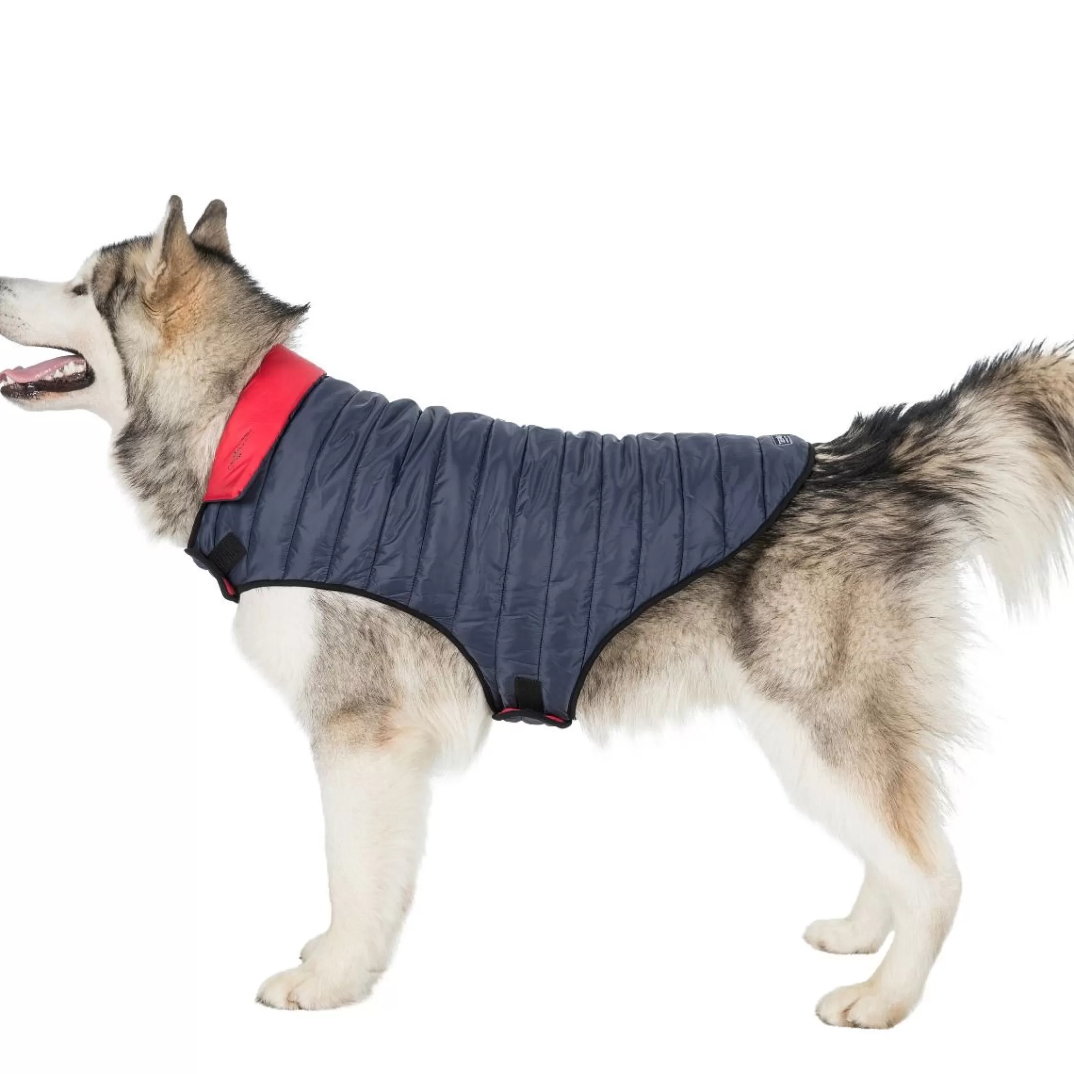 Trespaws XL Quilted Reversible Packaway Dog Jacket in Flint Kimmi | Trespass Sale