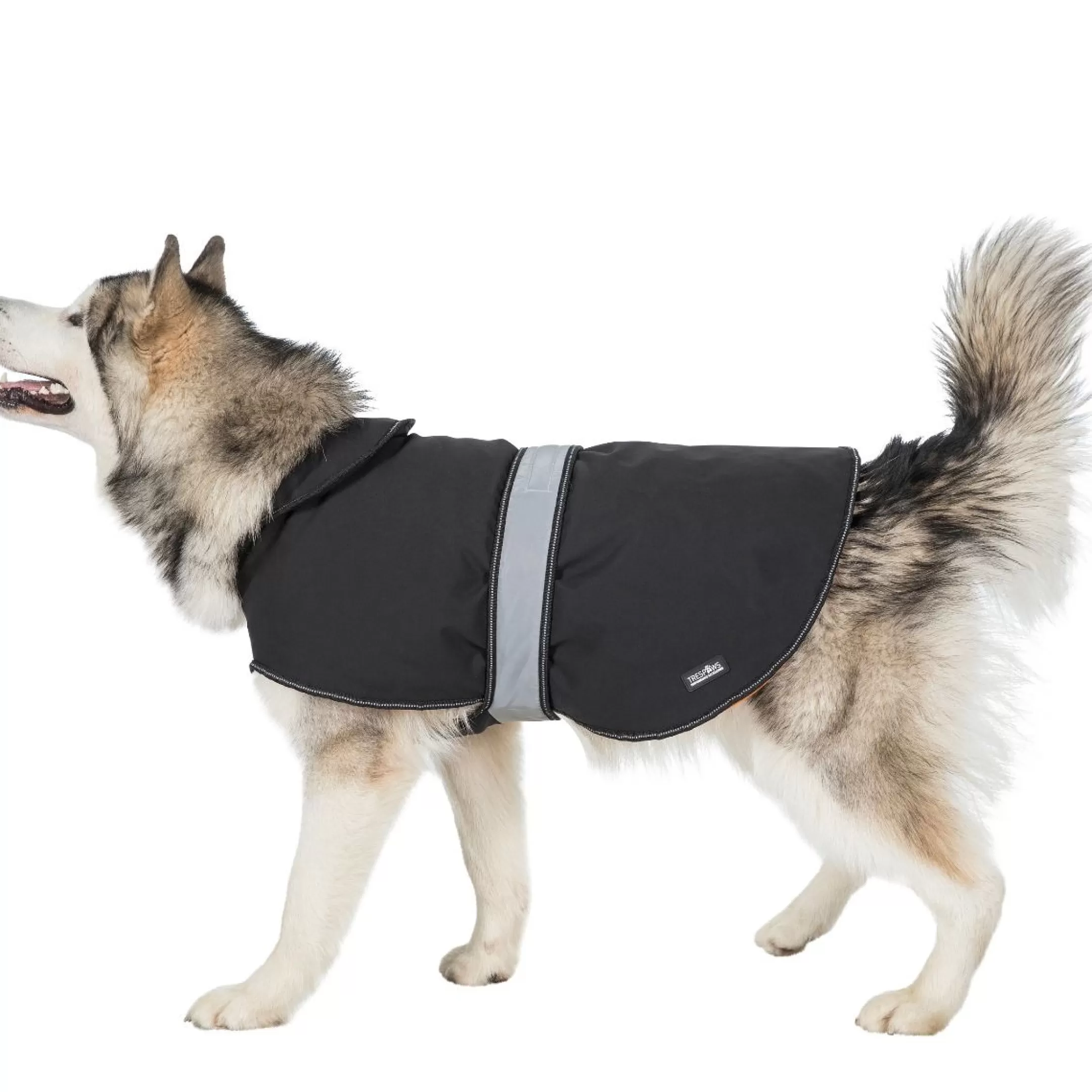 Trespaws XL Softshell dog coat Butch X Black X | Trespass Best Sale