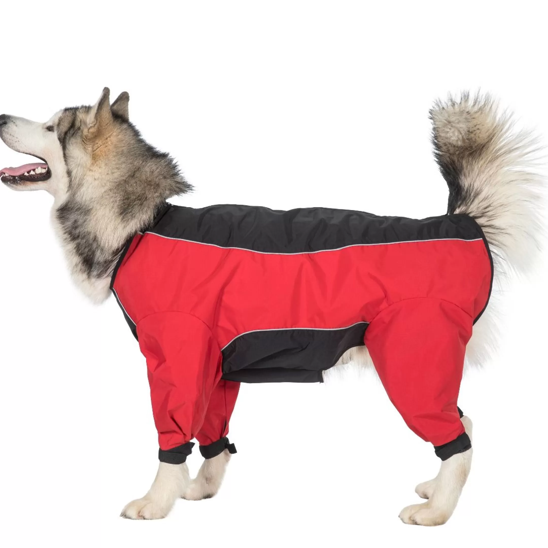 Trespaws XL Windproof Dog Coat with Leg Covers in Red Tia | Trespass Cheap