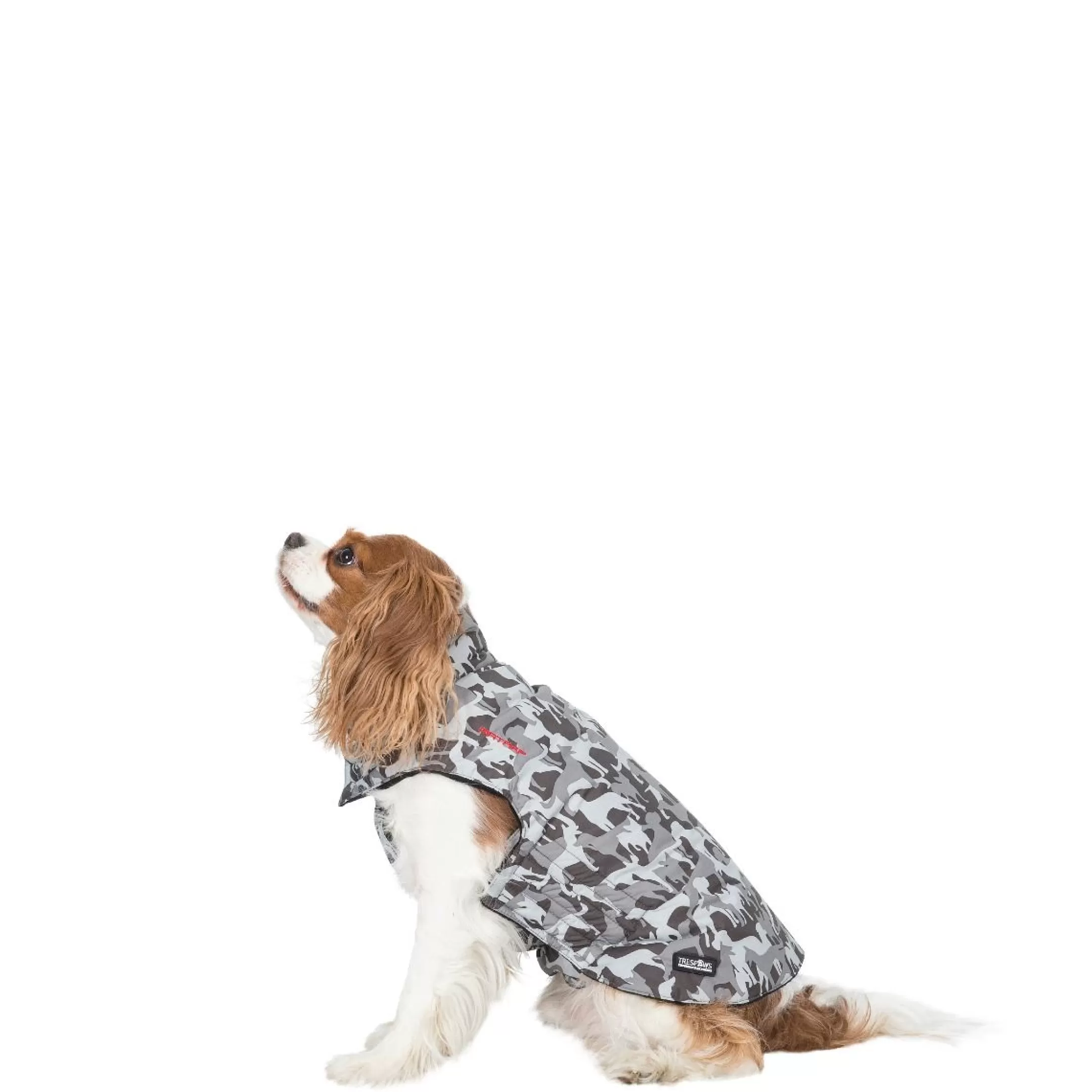 Trespaws XS Camo Dog Printed Raincoat in Grey Charly | Trespass Hot