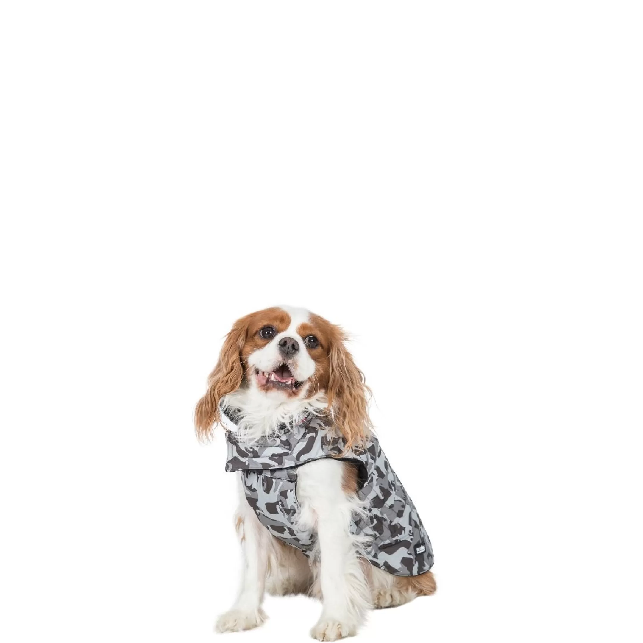 Trespaws XS Camo Dog Printed Raincoat in Grey Charly | Trespass Hot