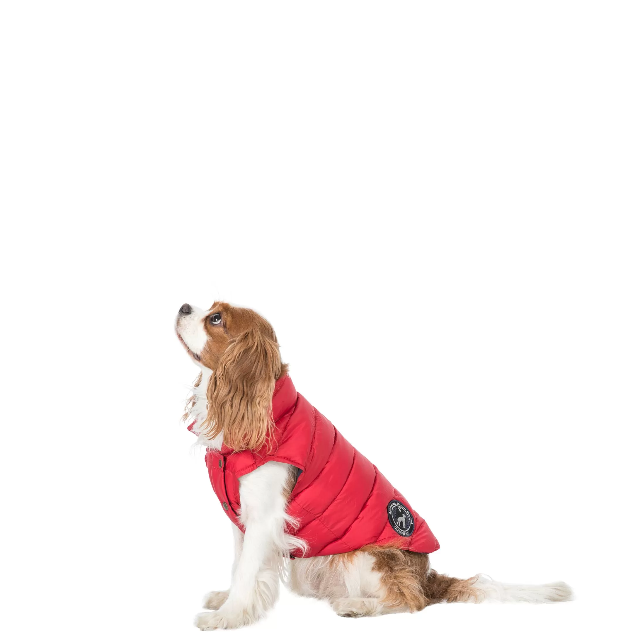 Trespaws XS Down Dog Jacket in Red Dogby | Trespass Flash Sale