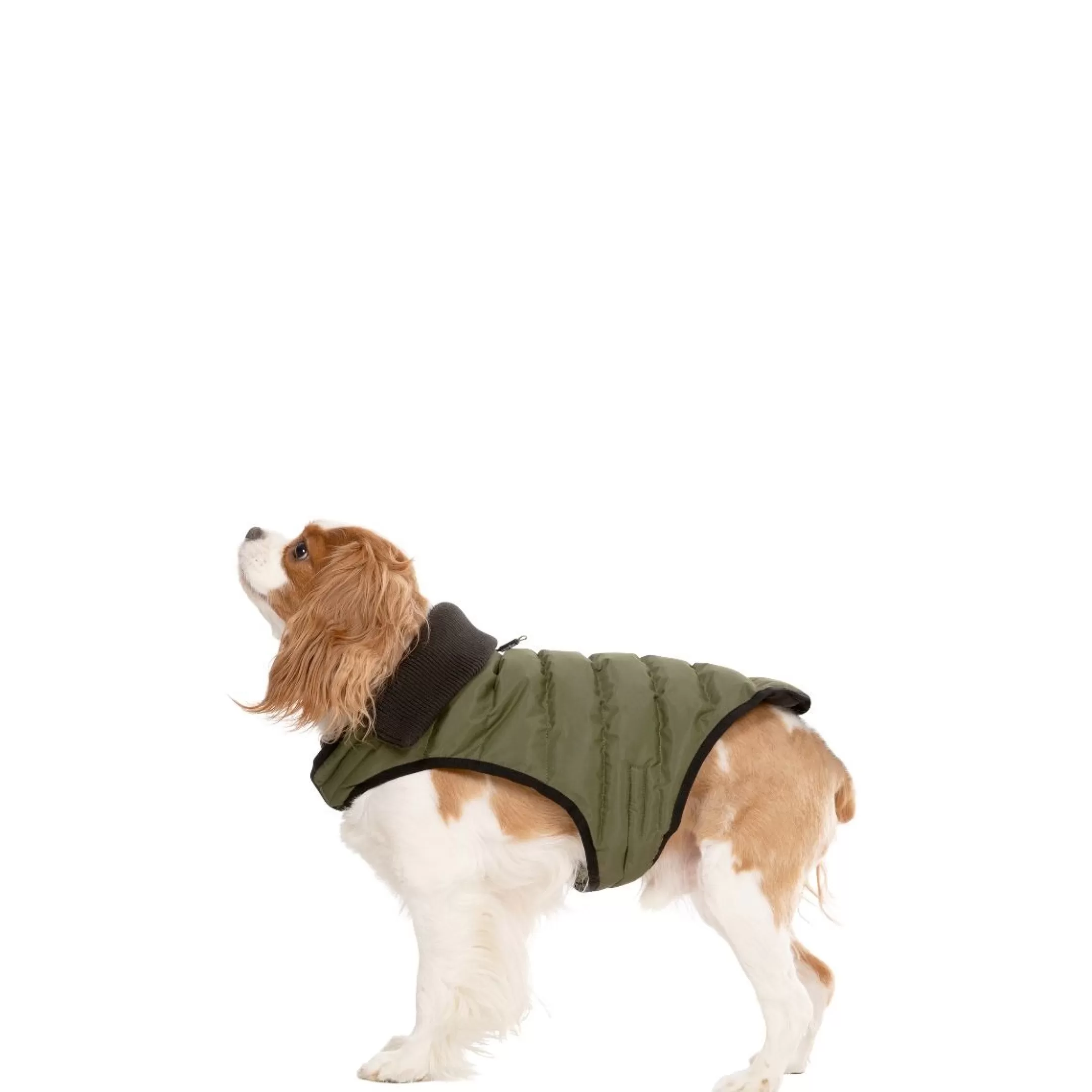Trespaws XS Eco Friendly Dog Puffer Jacket in Khaki Lloyd | Trespass Cheap