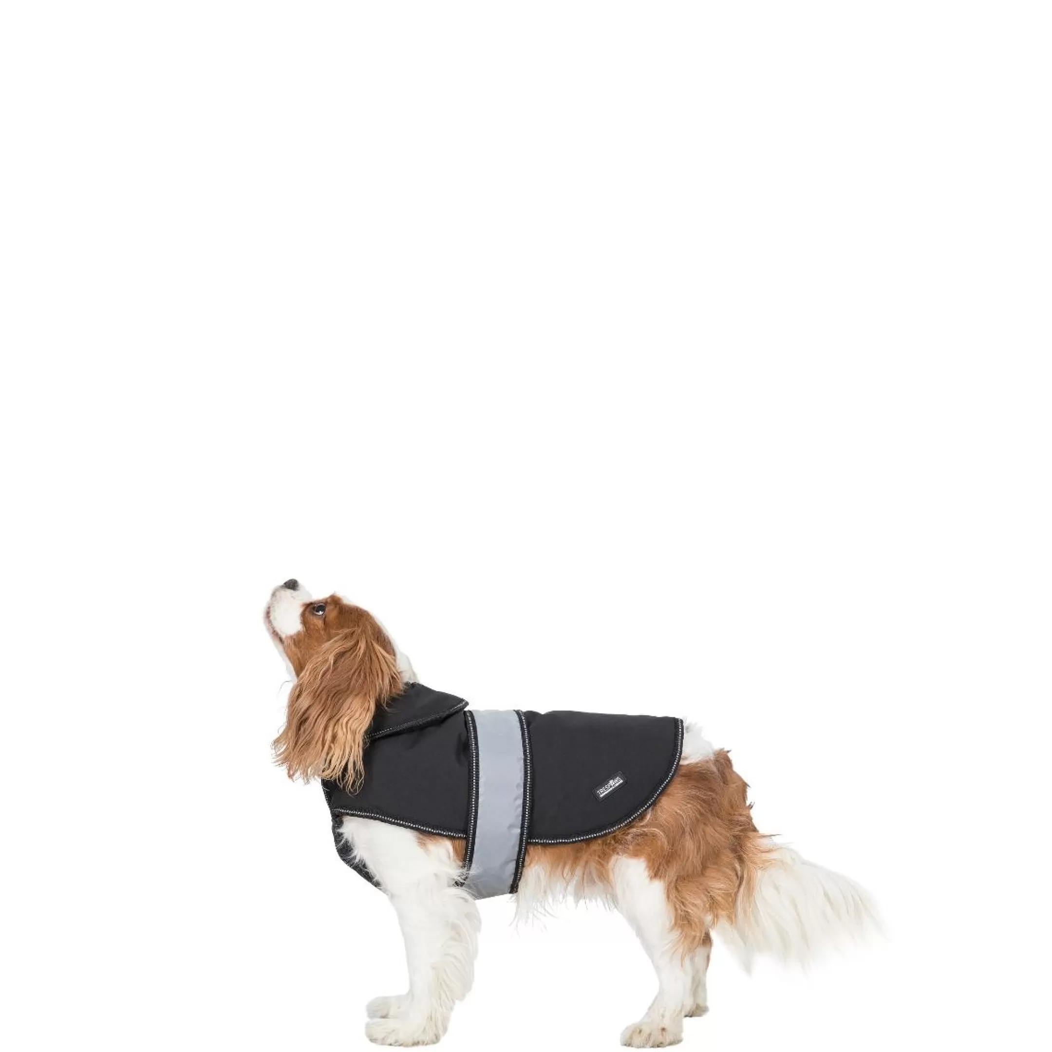 Trespaws XS Softshell dog coat Butch X Black X | Trespass New