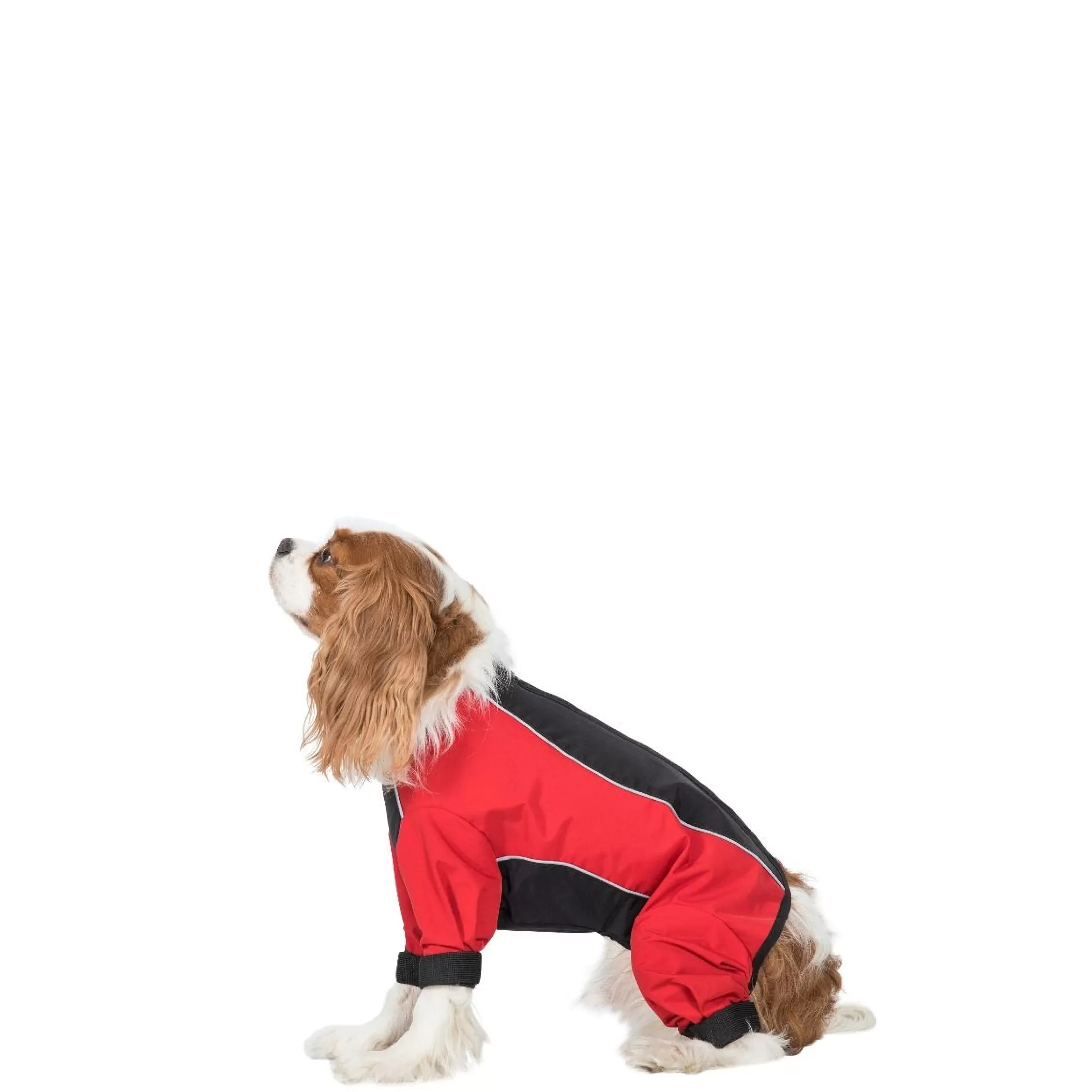 Trespaws XS Waterproof Dog Coat with legs Tia in Black/Red | Trespass Shop