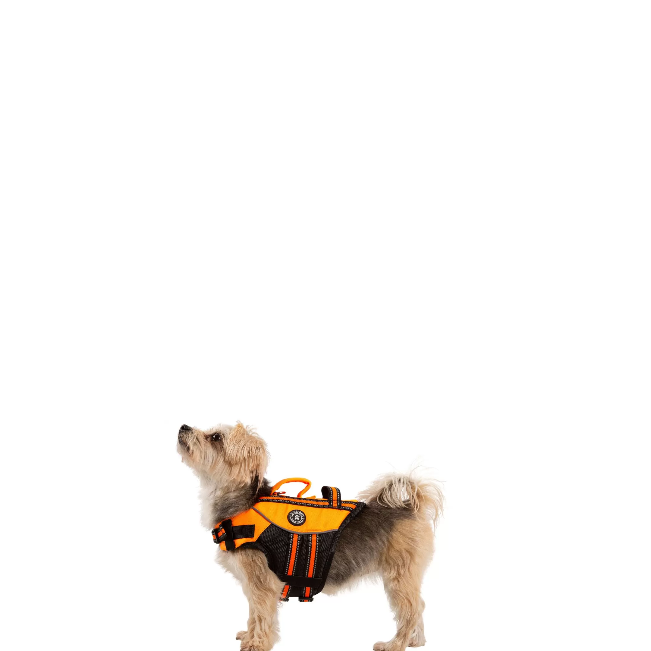 Trespaws XXS Buoyancy Aid Surfdog High Vis | Trespass Clearance