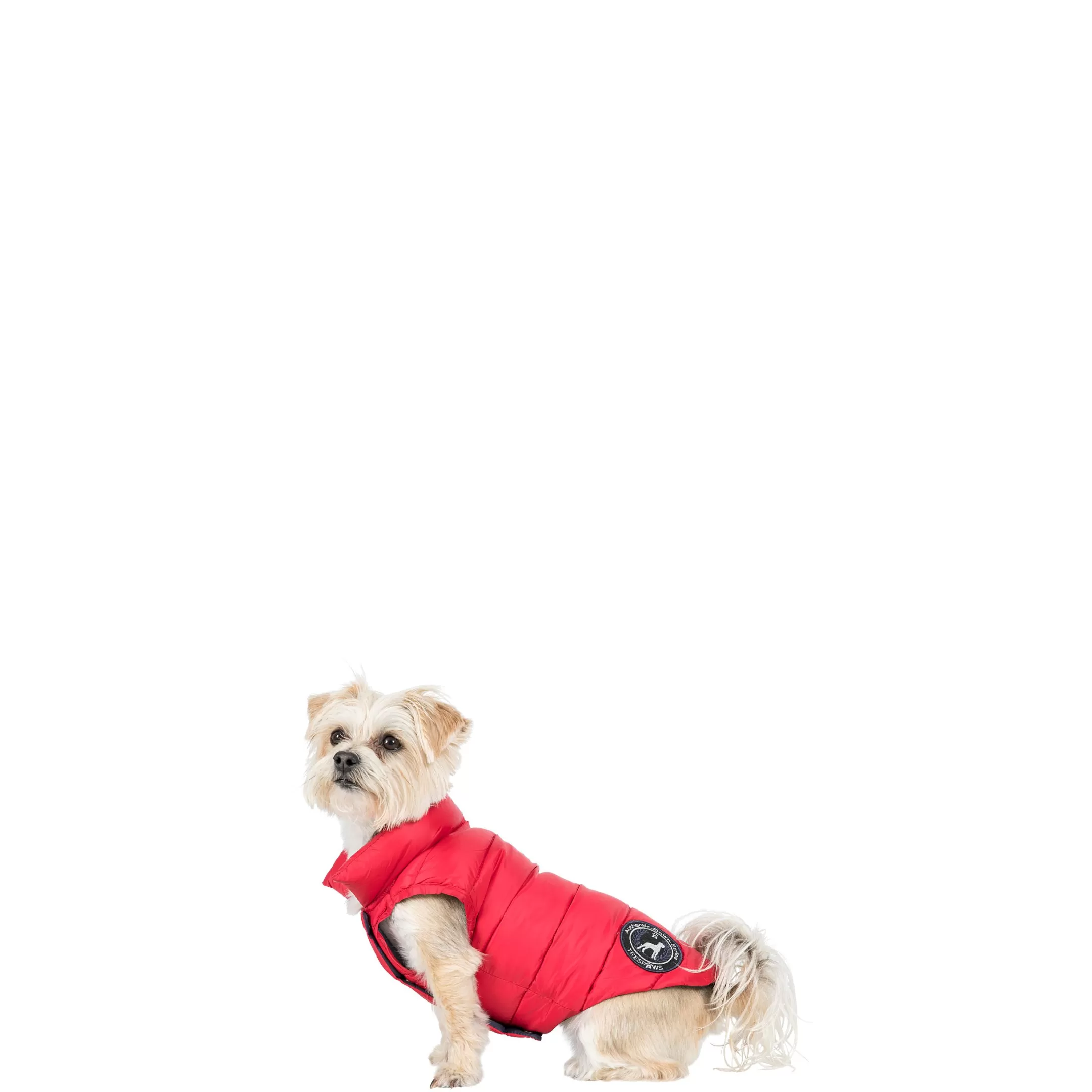 Trespaws XXS Down Dog Jacket in Red Dogby | Trespass Fashion